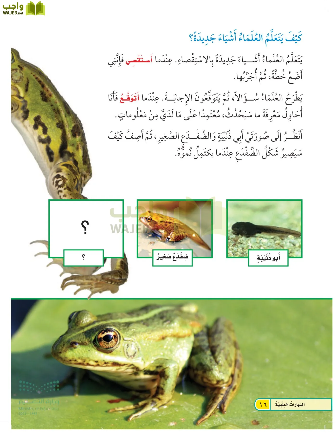 العلوم page-15