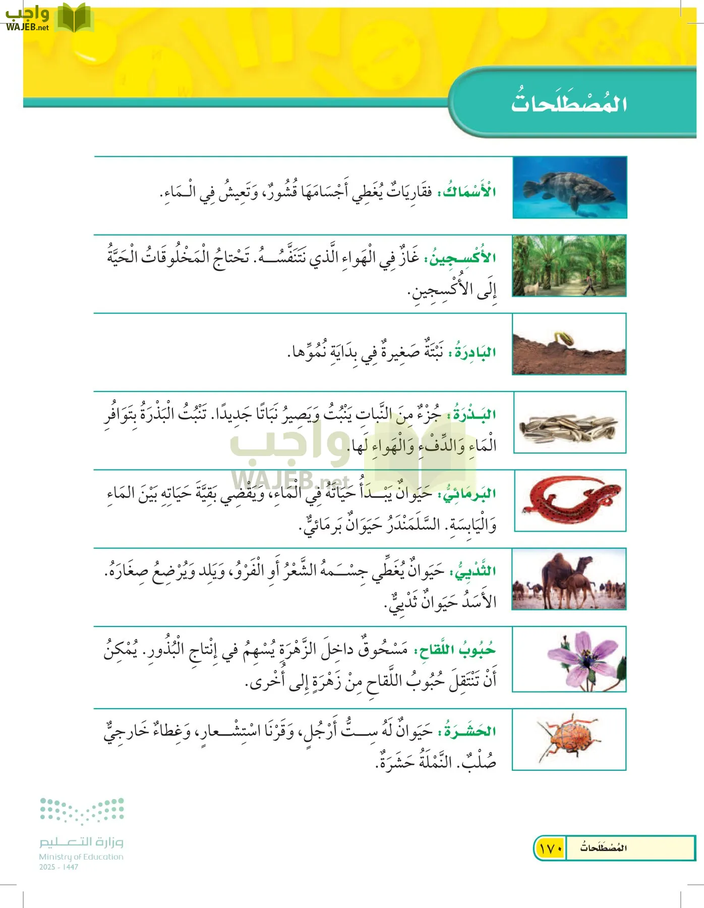 العلوم page-169