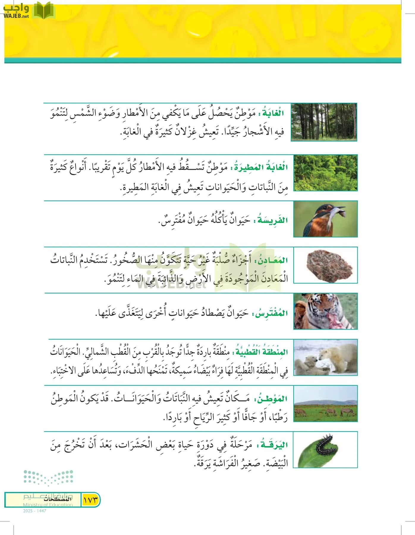 العلوم page-172