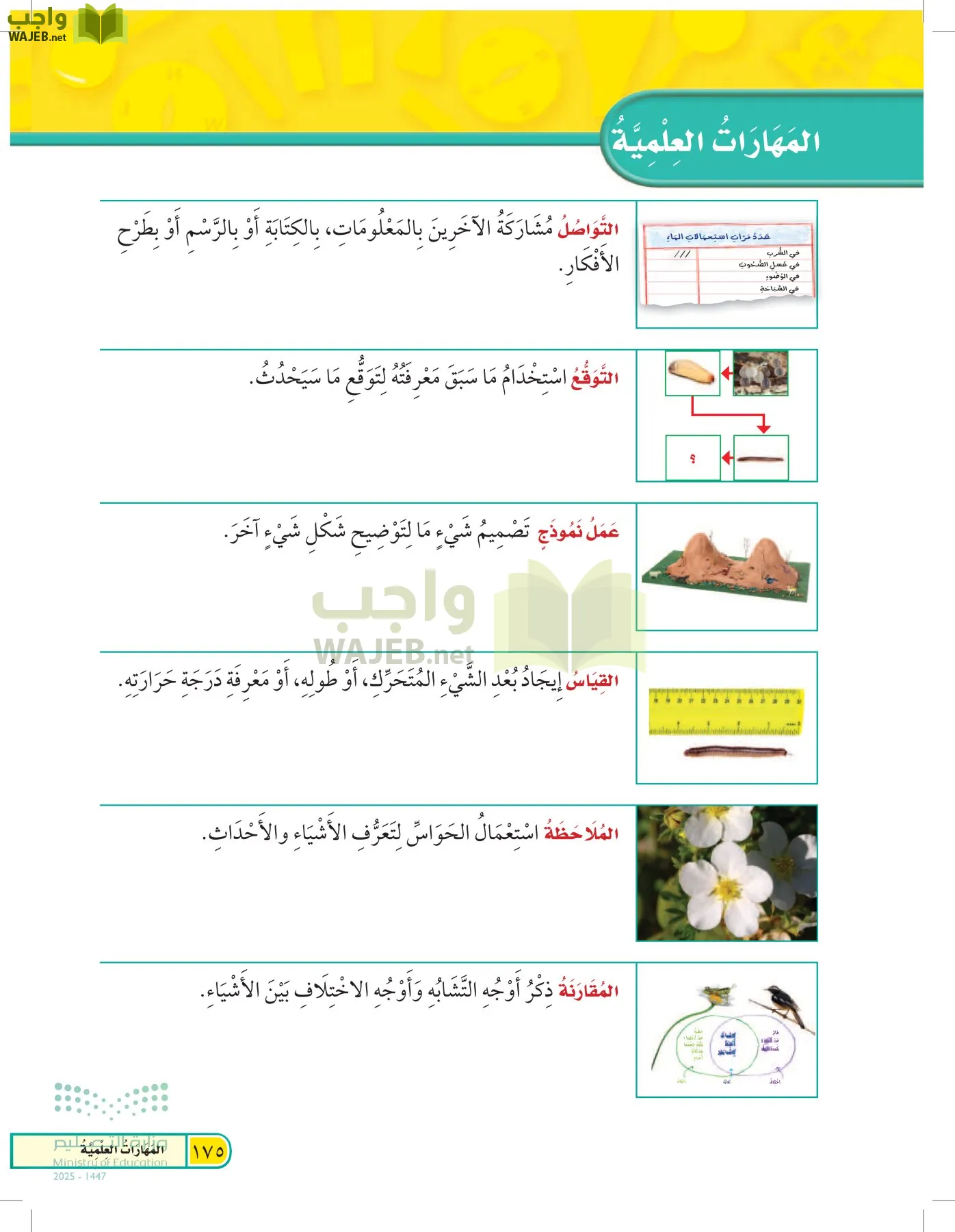 العلوم page-174