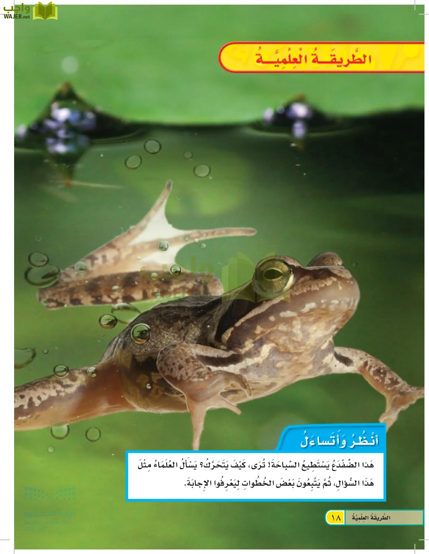 العلوم page-17