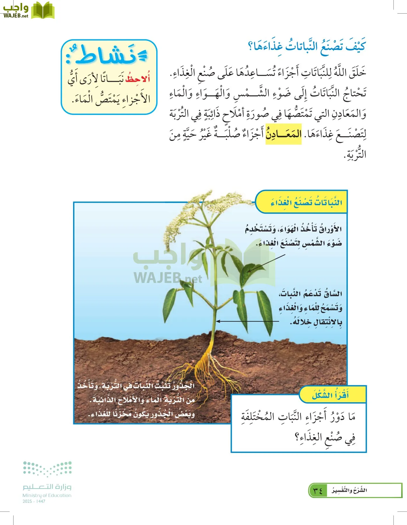 العلوم page-33