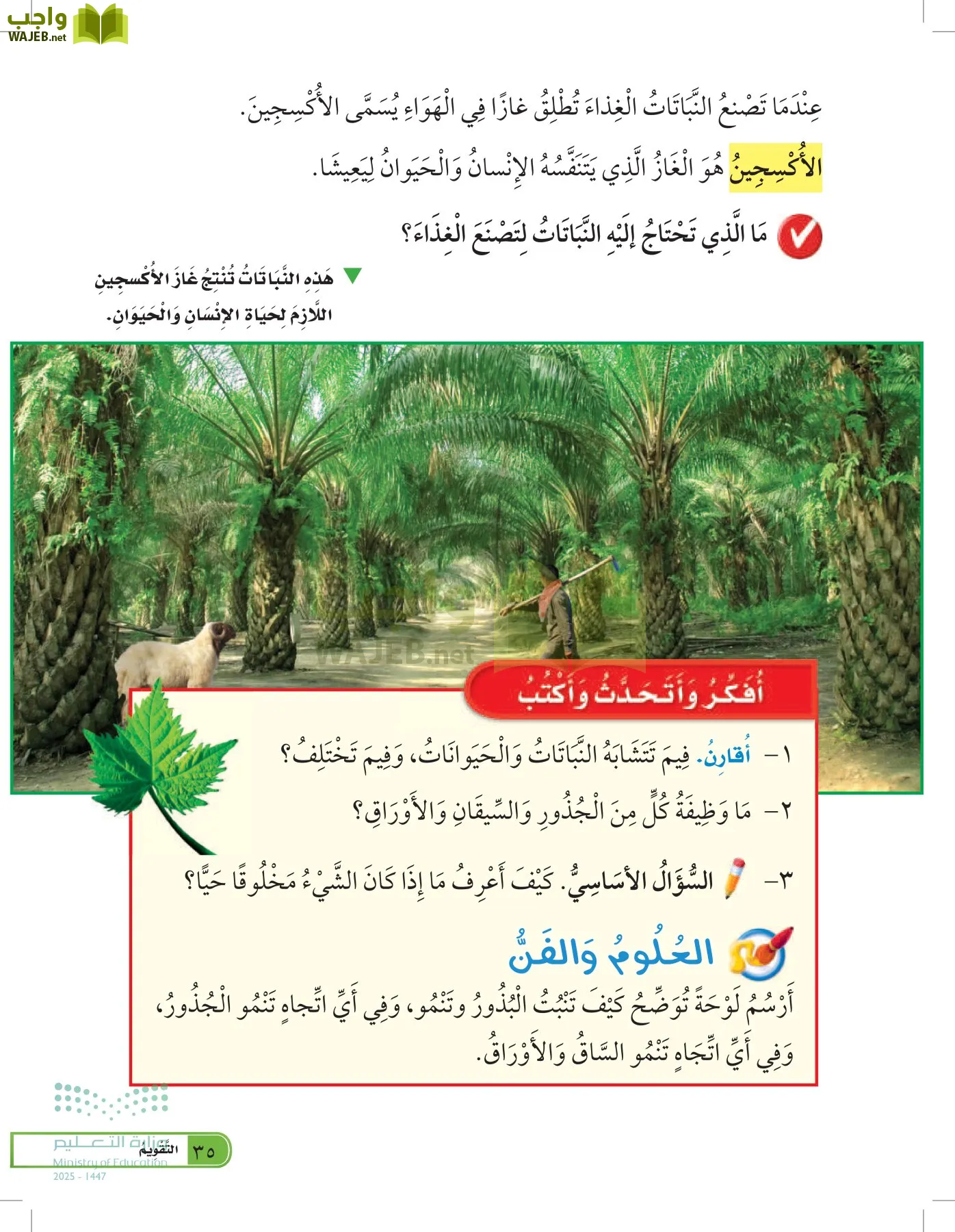 العلوم page-34