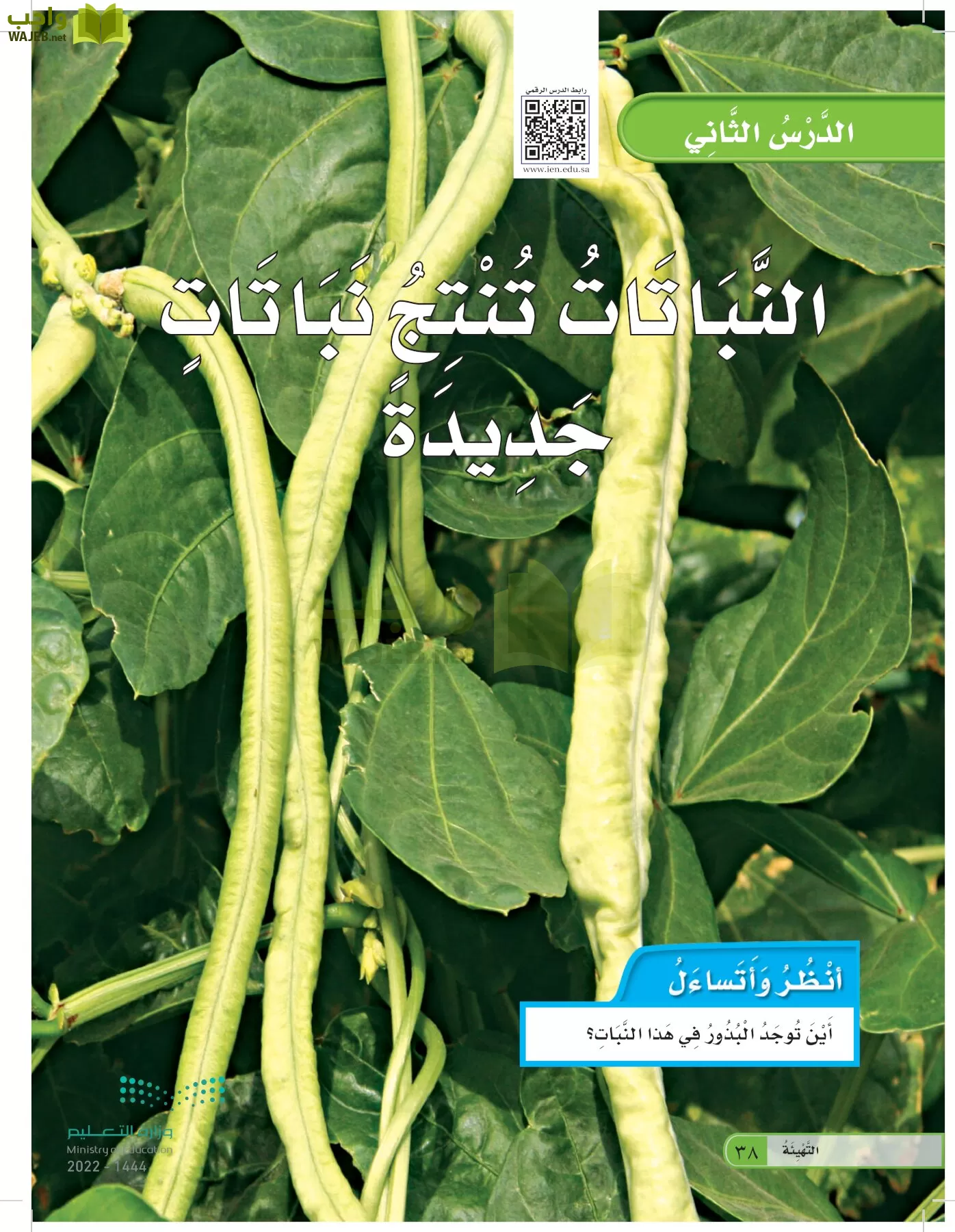 العلوم page-37