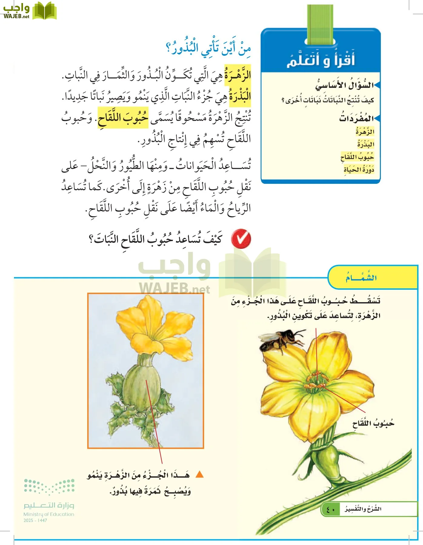 العلوم page-39