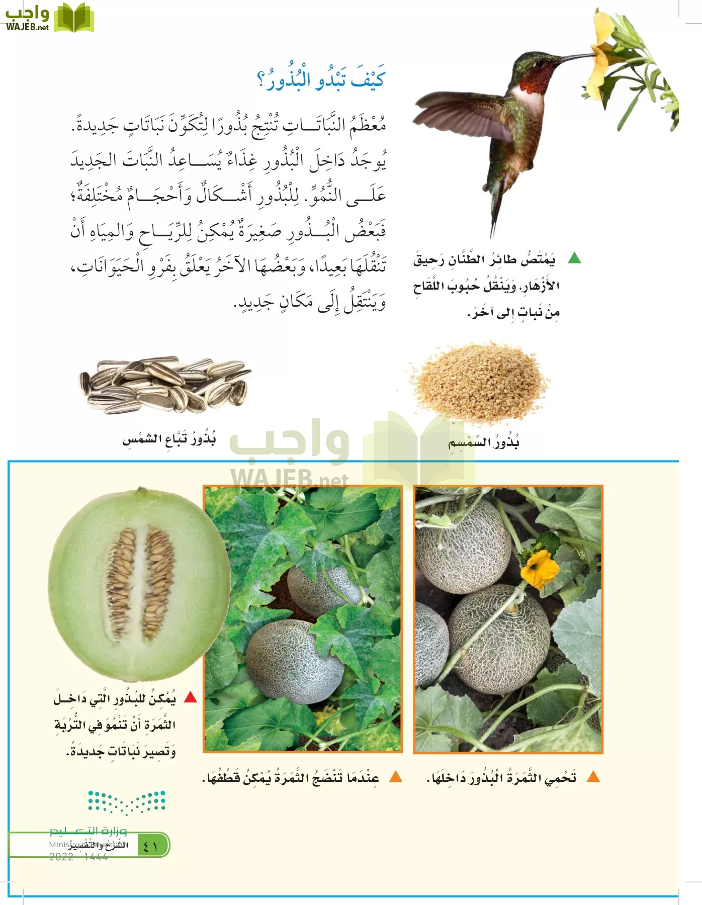 العلوم page-40