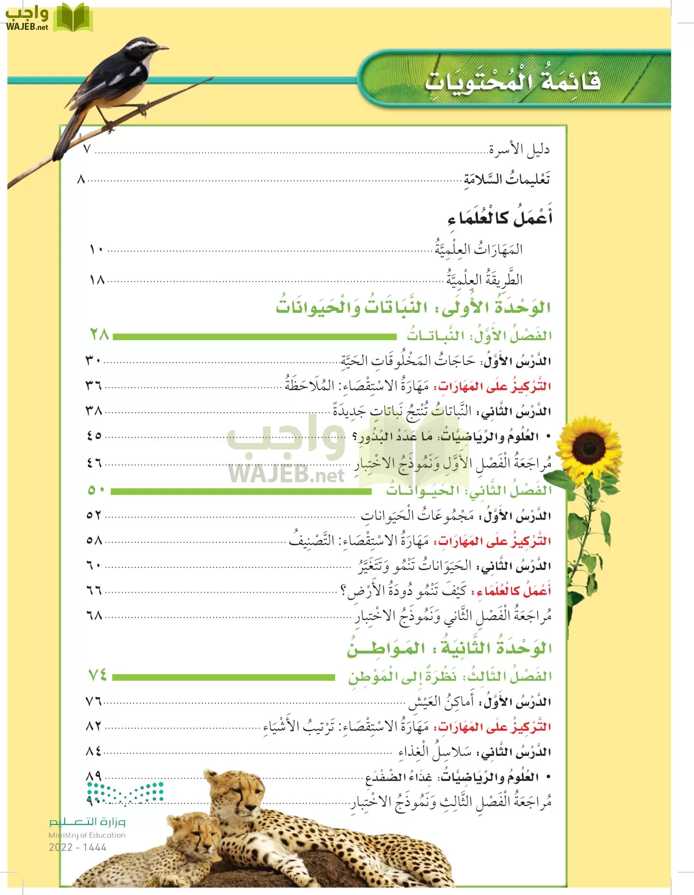 العلوم page-4