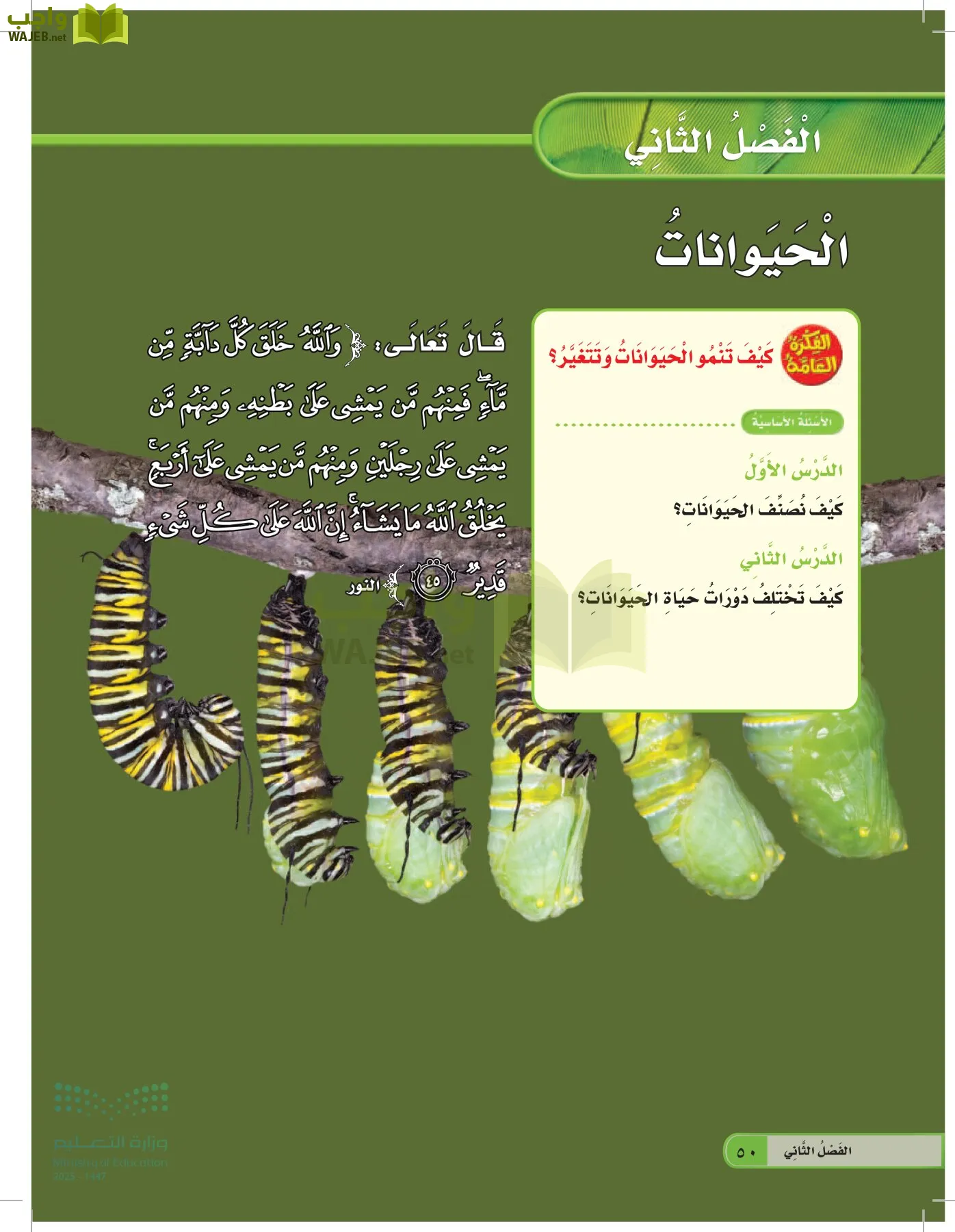 العلوم page-49
