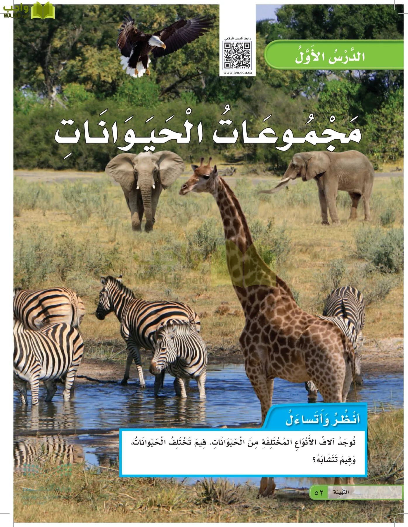 العلوم page-51