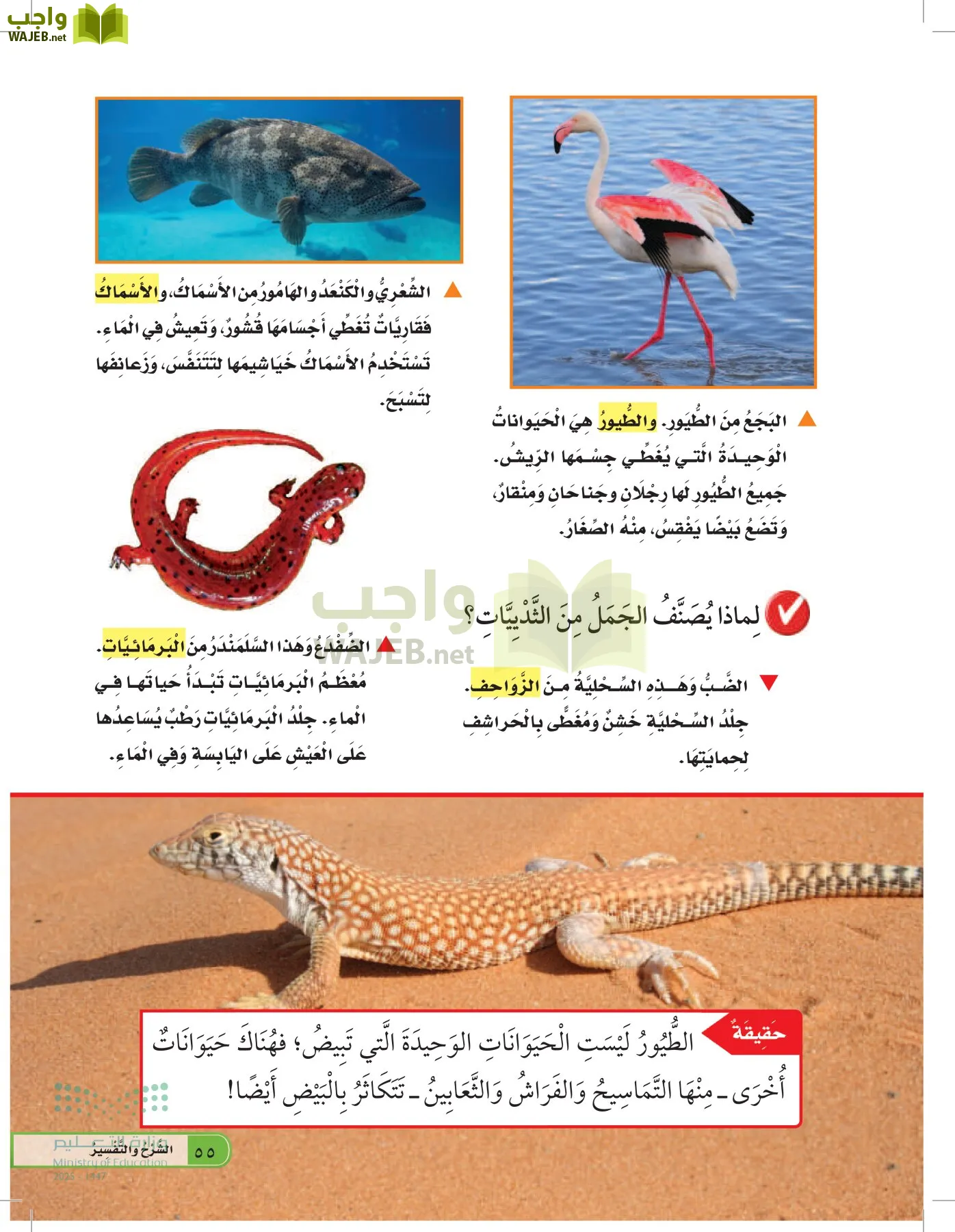 العلوم page-54