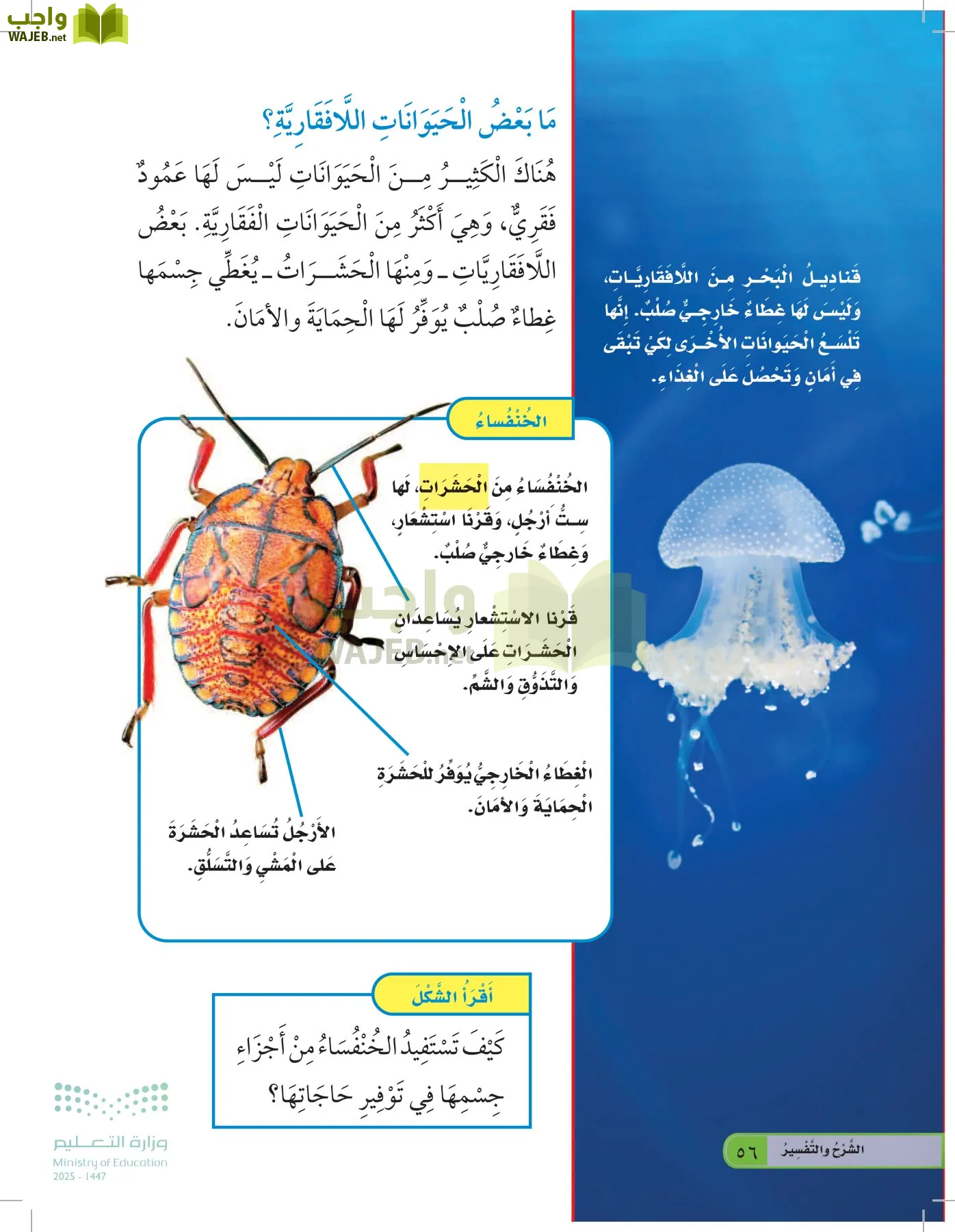 العلوم page-55