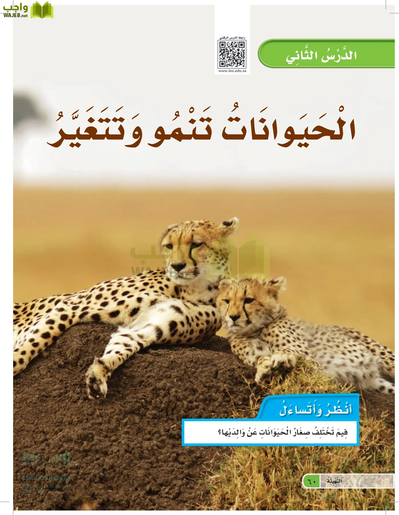 العلوم page-59