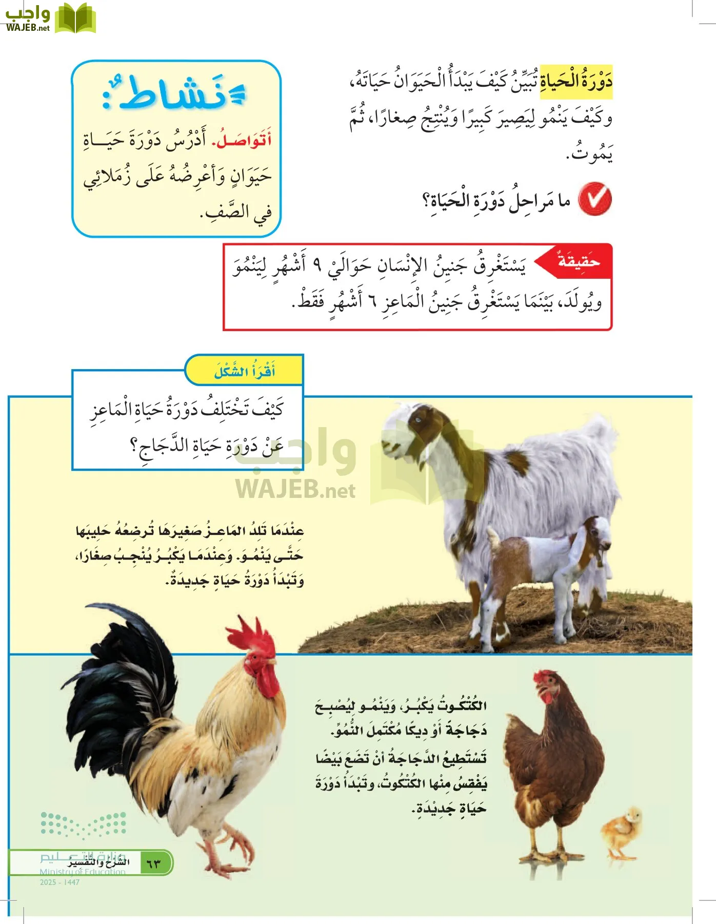 العلوم page-62