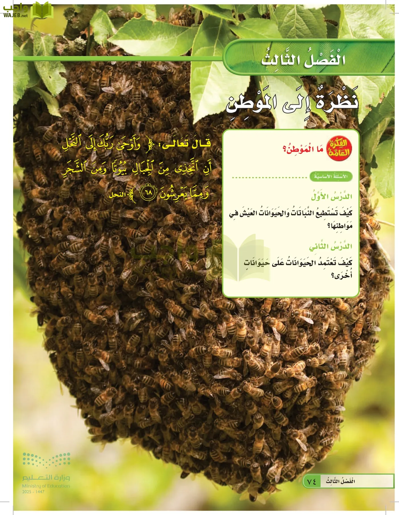 العلوم page-73