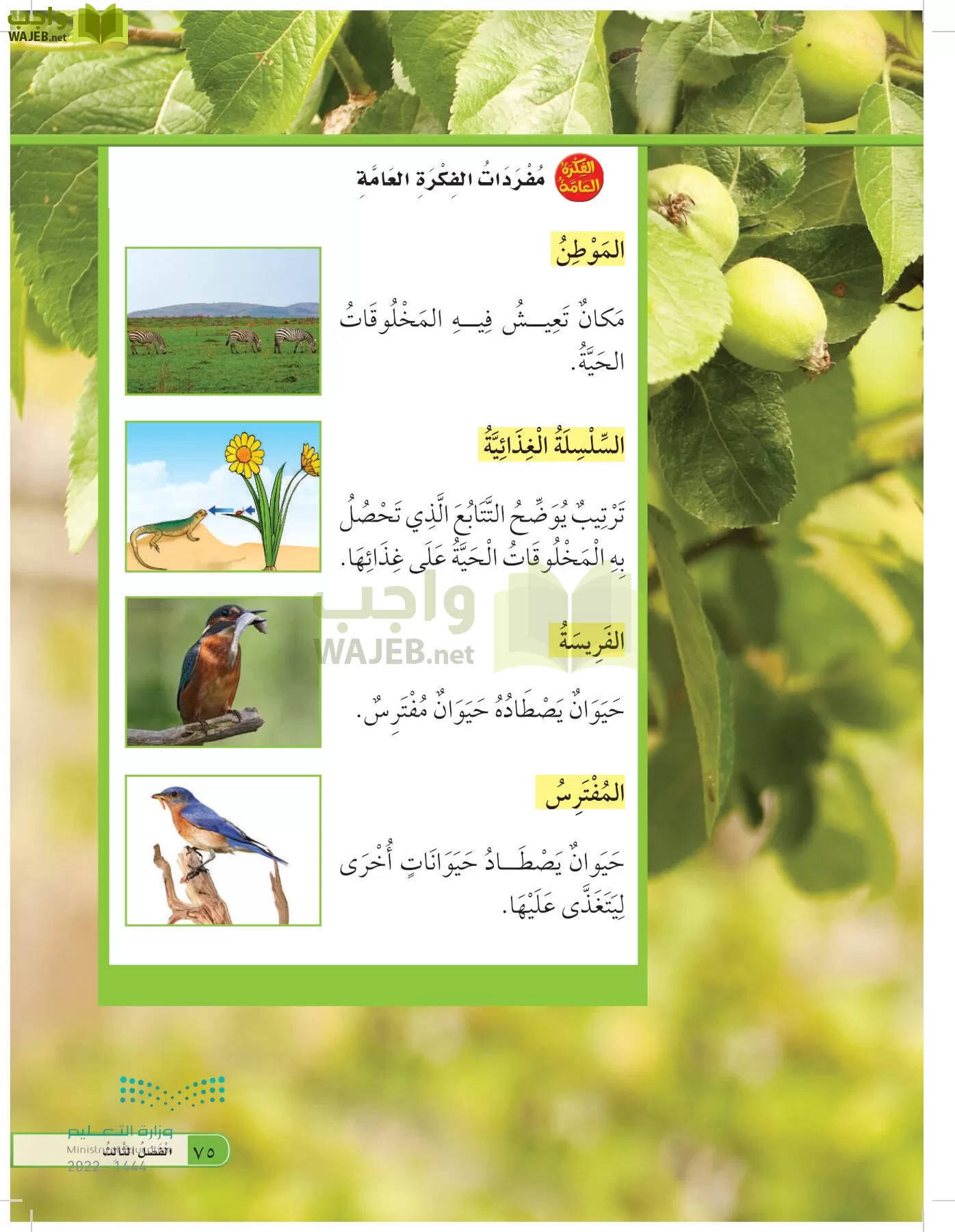 العلوم page-74