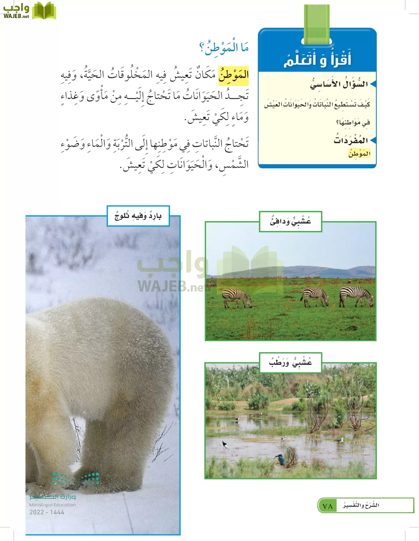 العلوم page-77