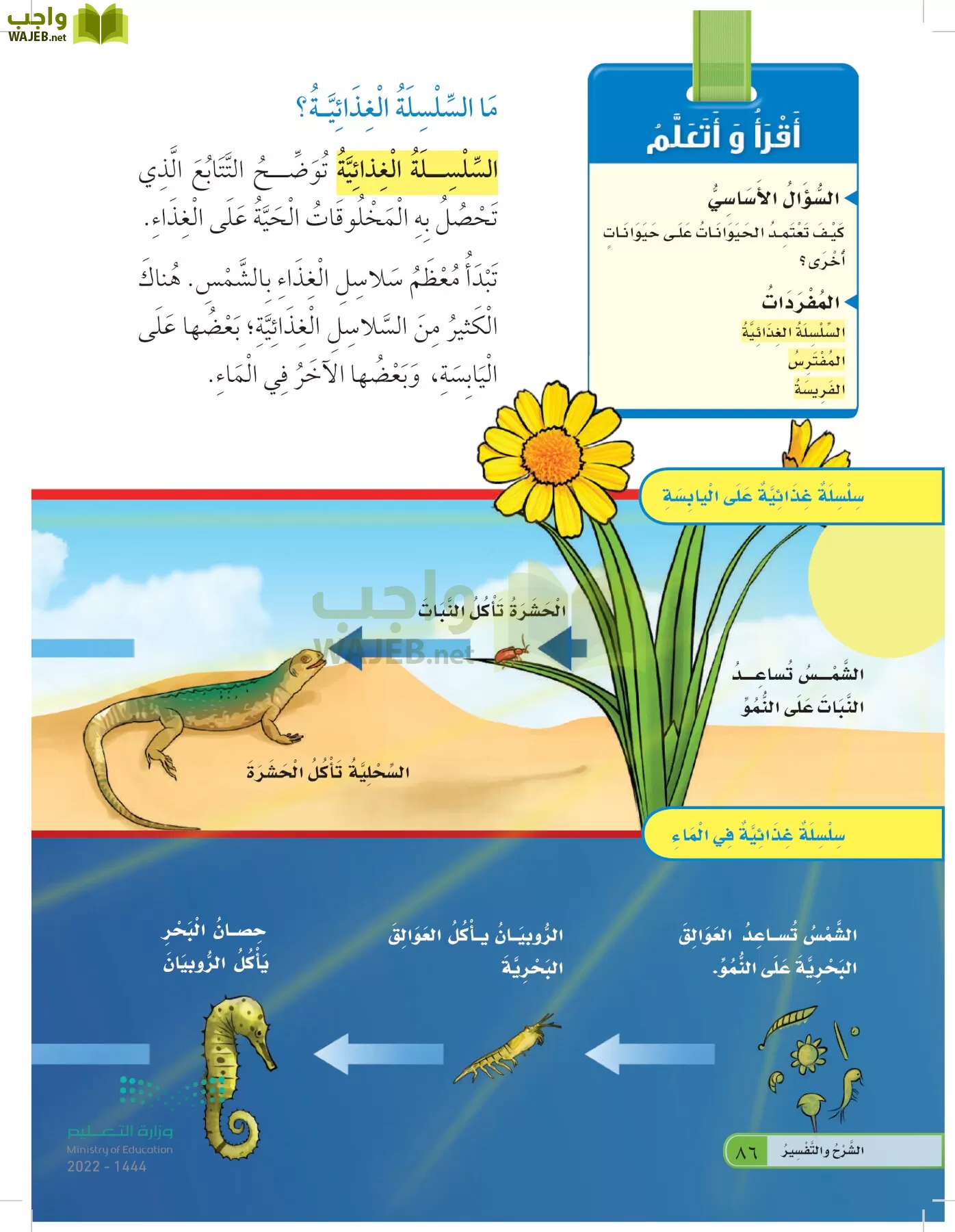 العلوم page-85