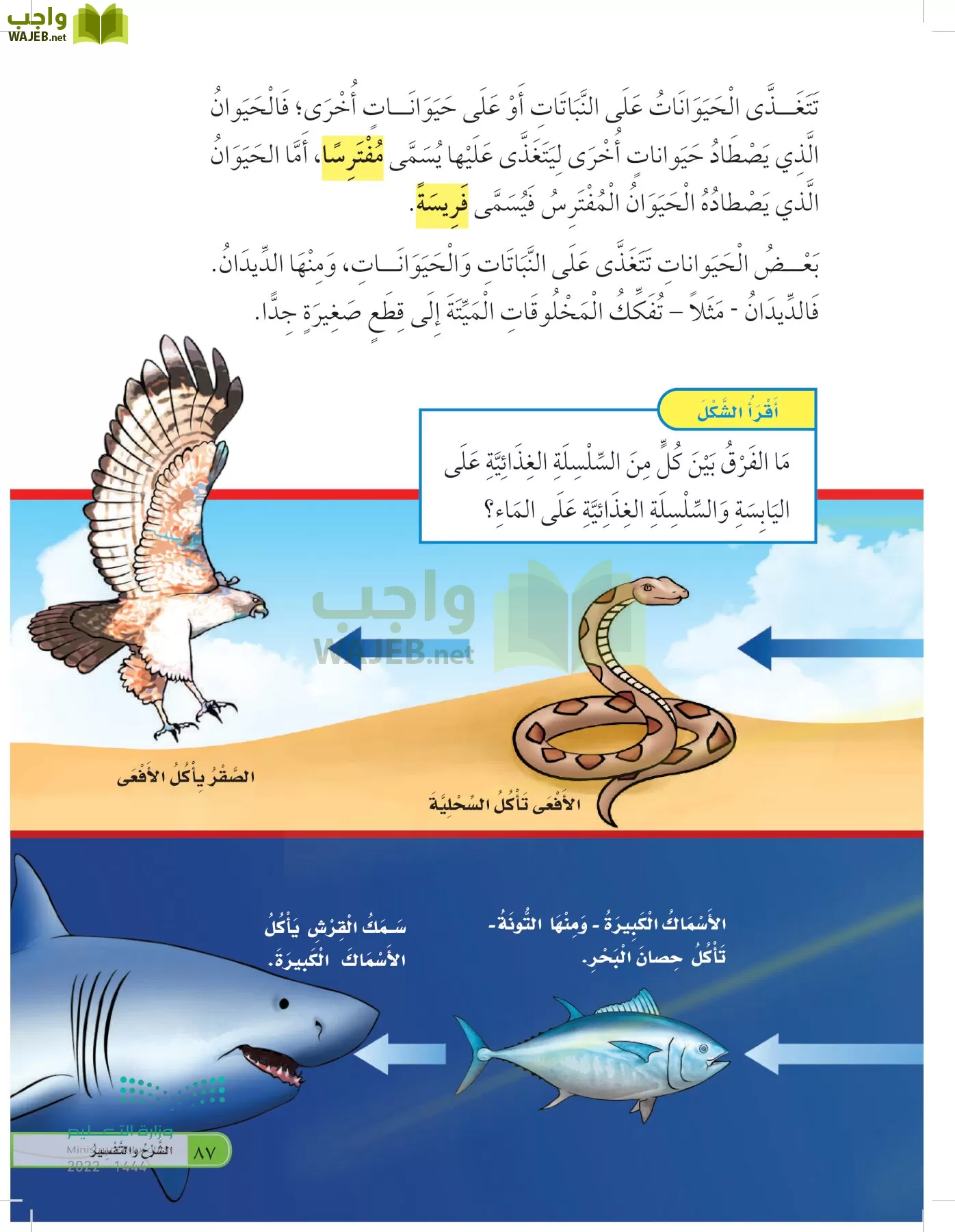 العلوم page-86