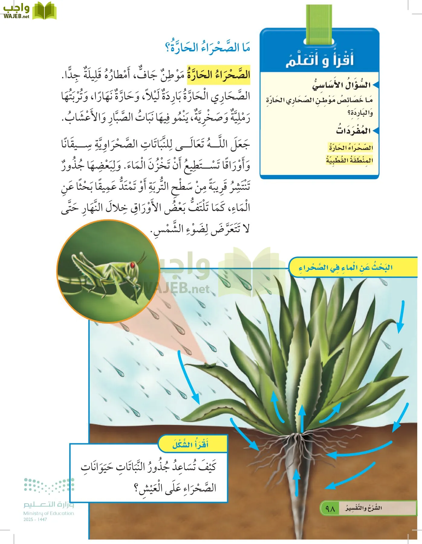 العلوم page-97