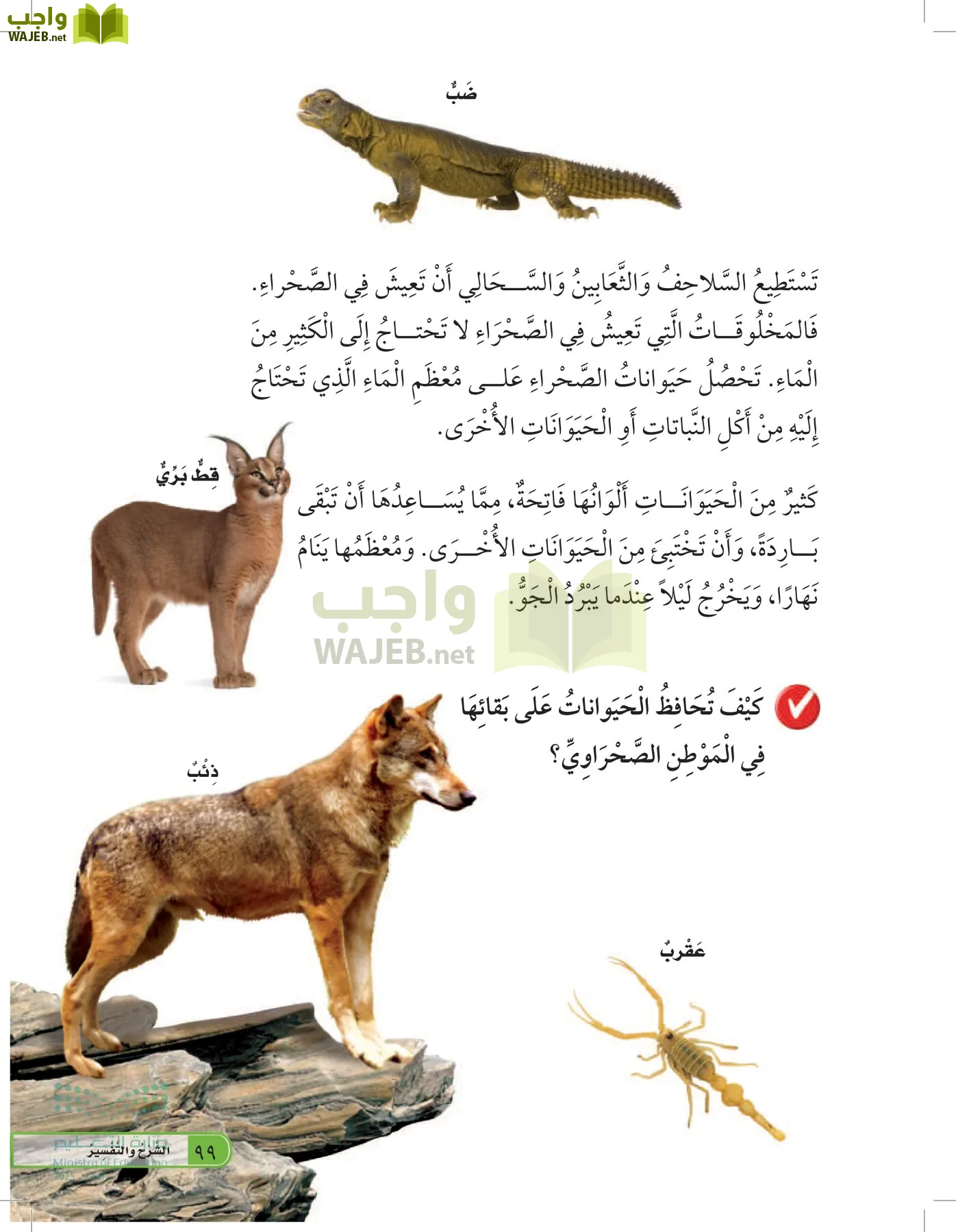 العلوم page-98