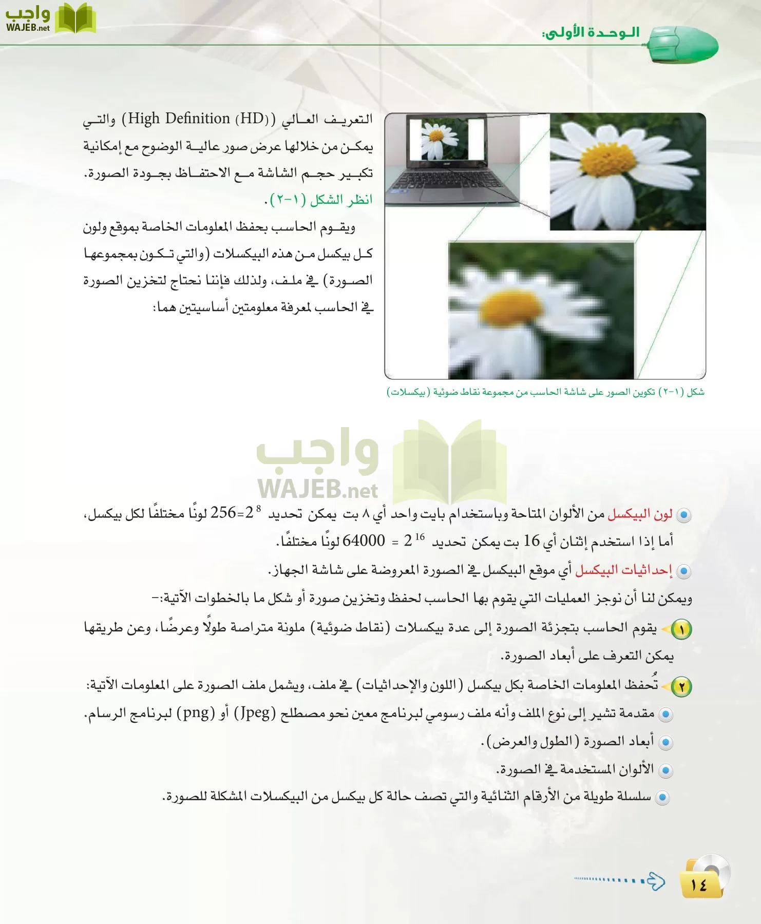 الحاسب وتقنية المعلومات 3 مقررات page-14