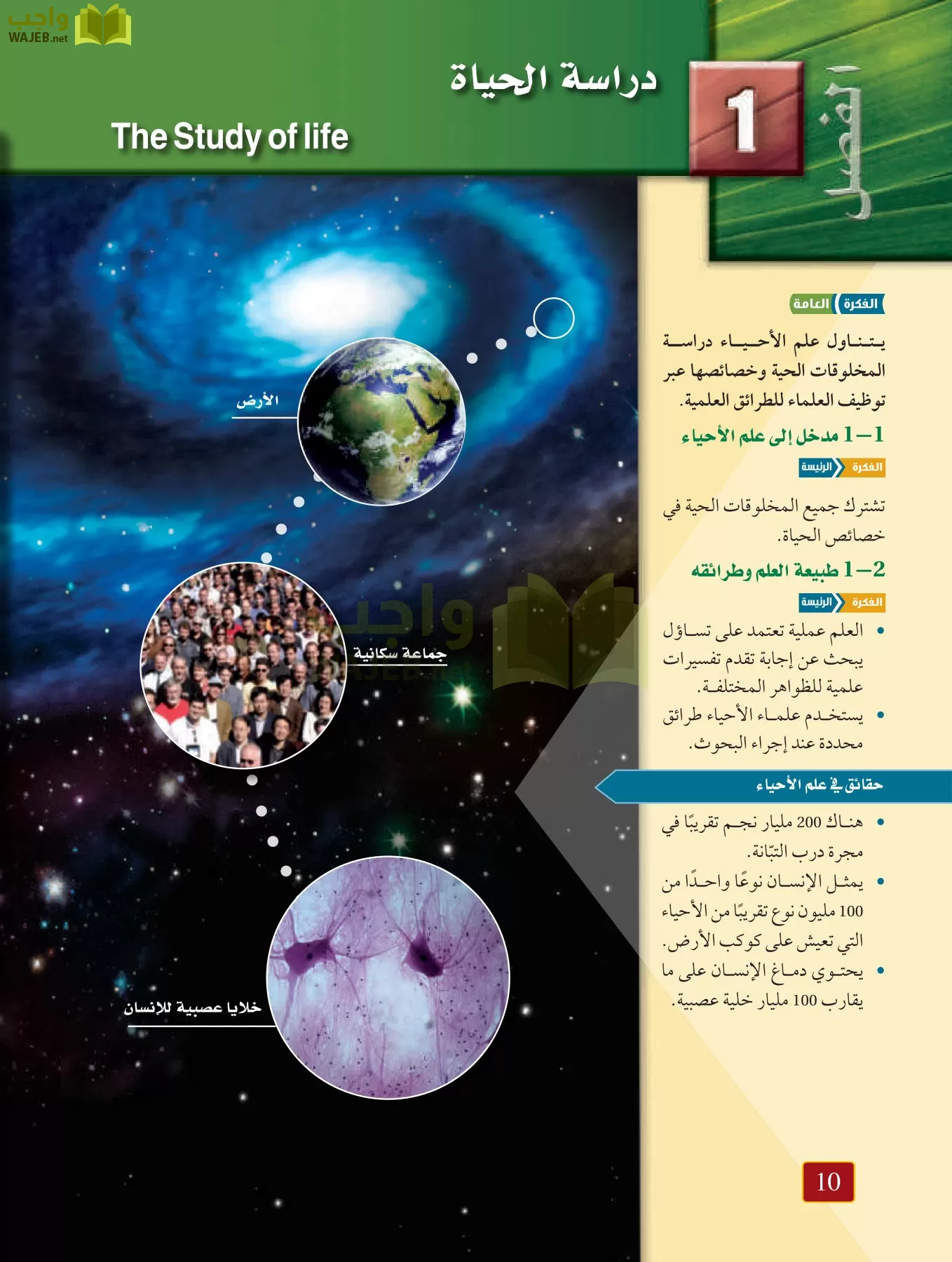 أحياء 1 مقررات page-9