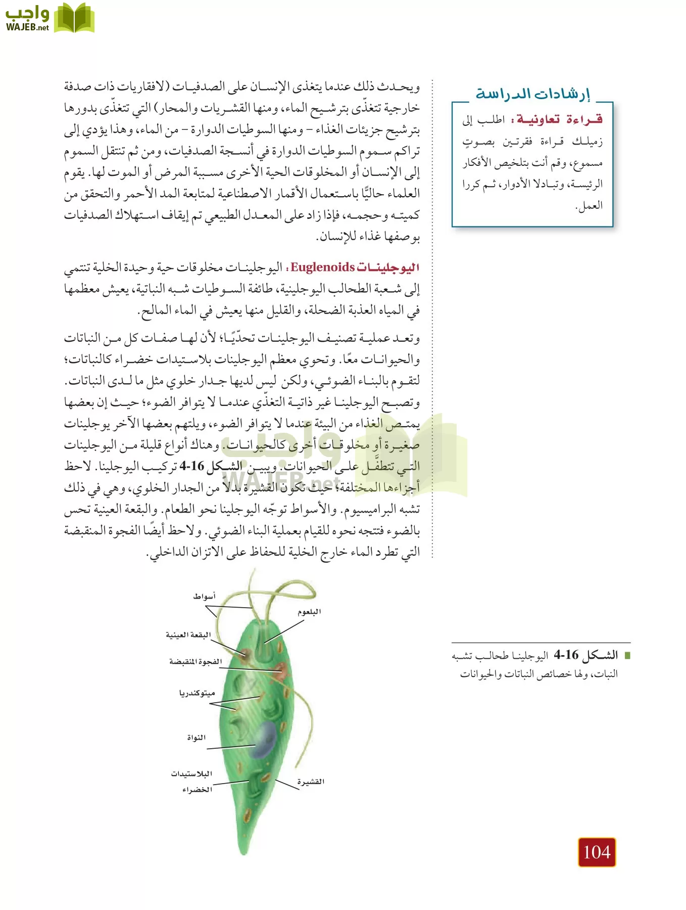 أحياء 1 مقررات page-103