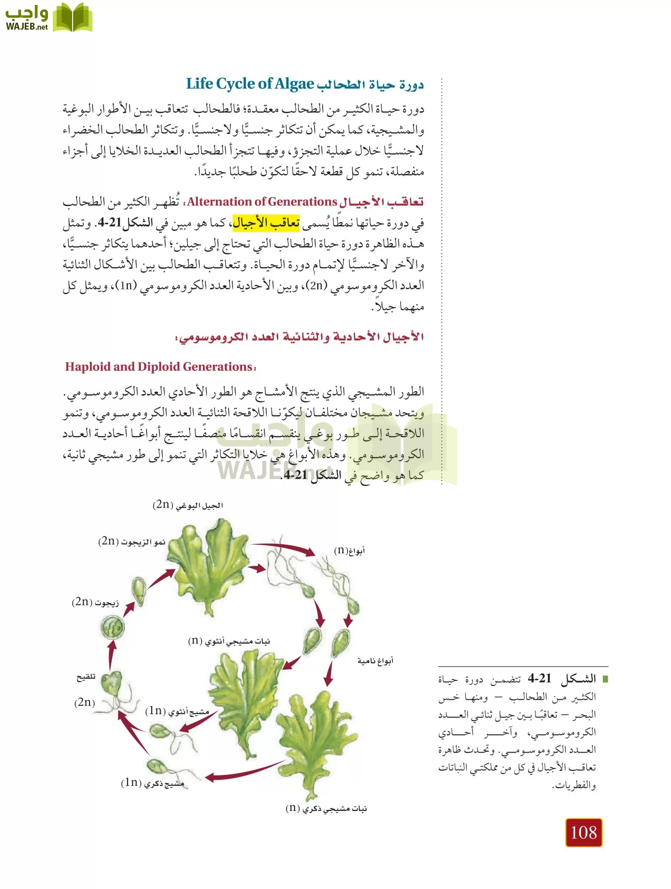 أحياء 1 مقررات page-107