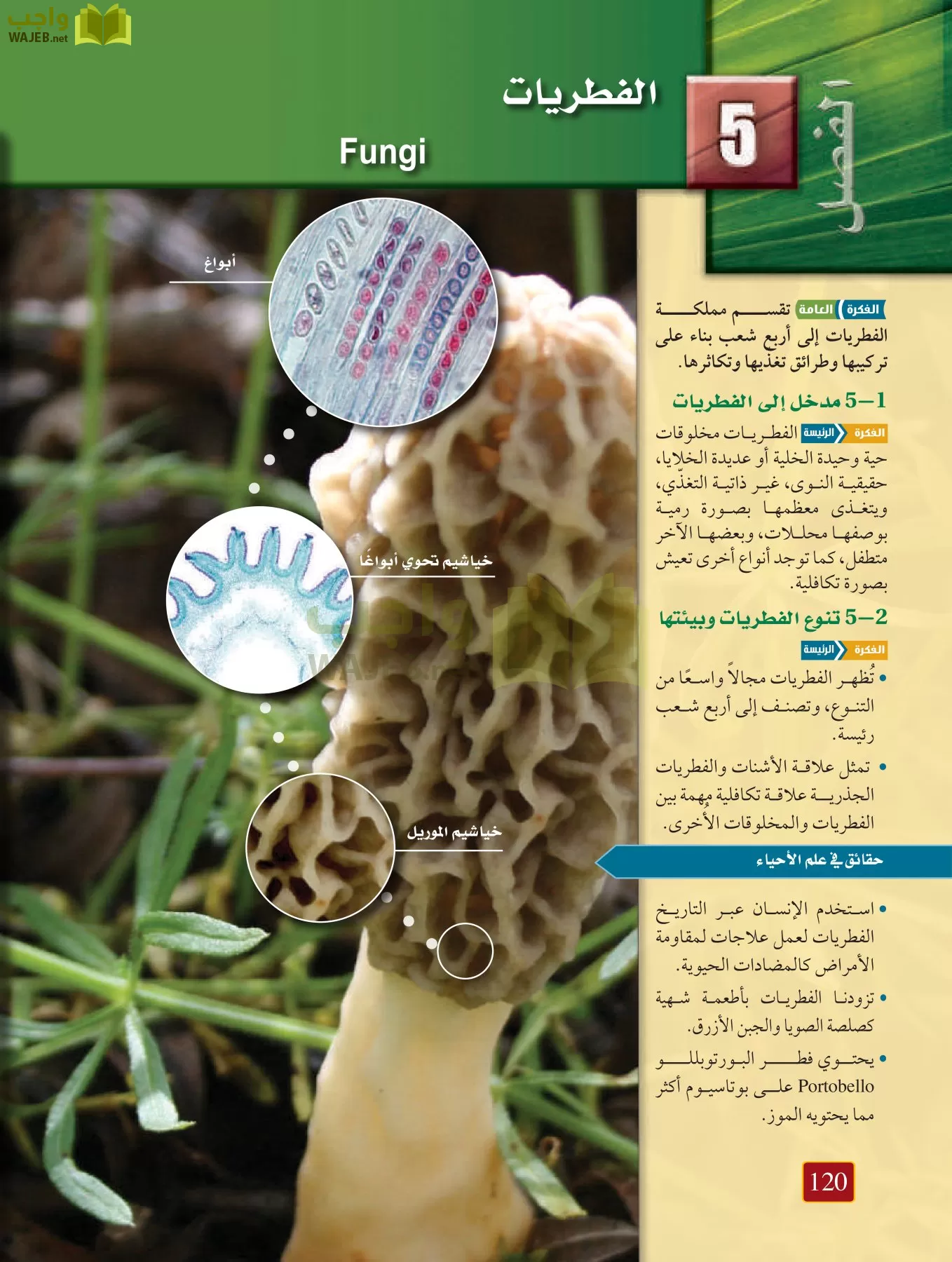 أحياء 1 مقررات page-119