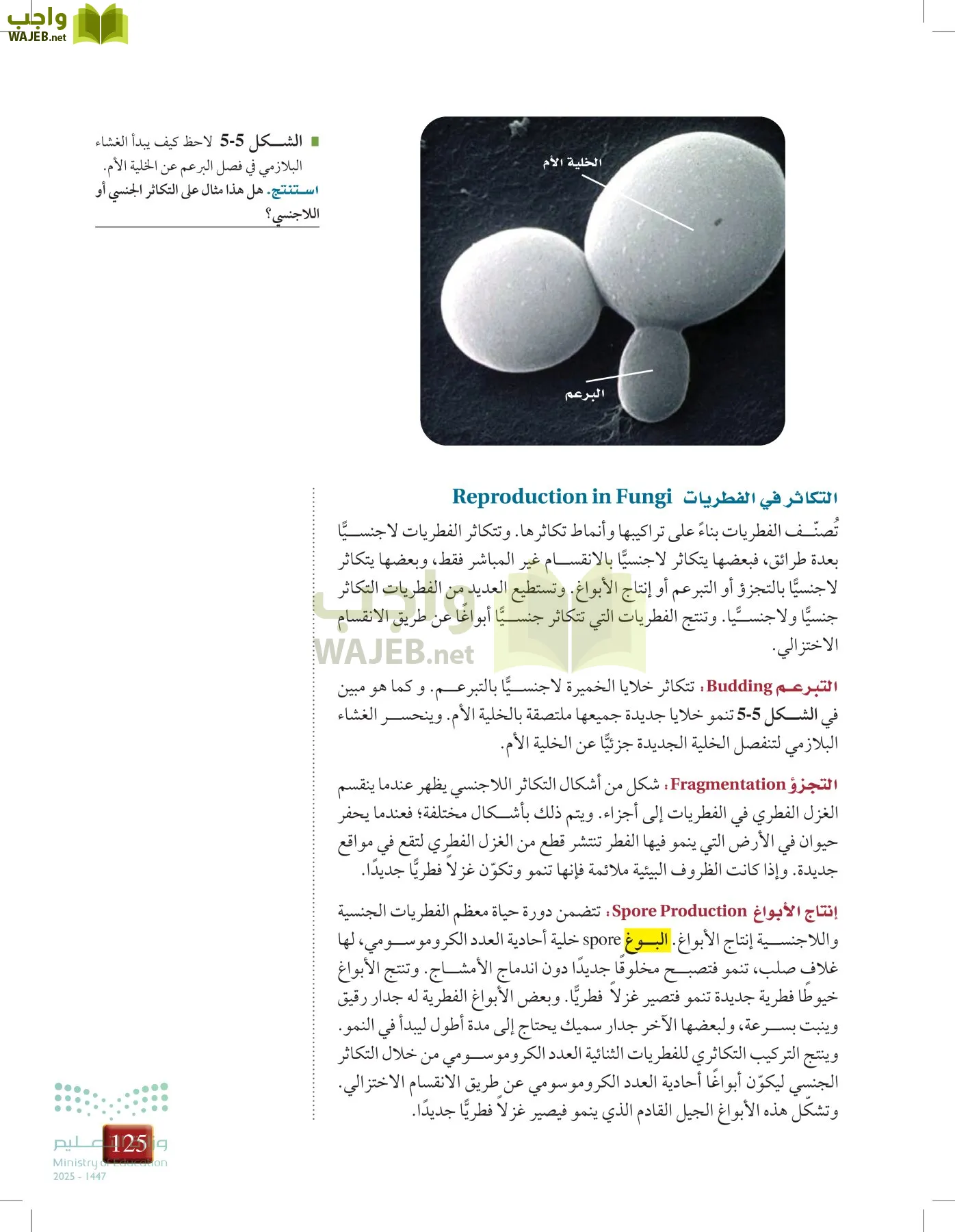 أحياء 1 مقررات page-124