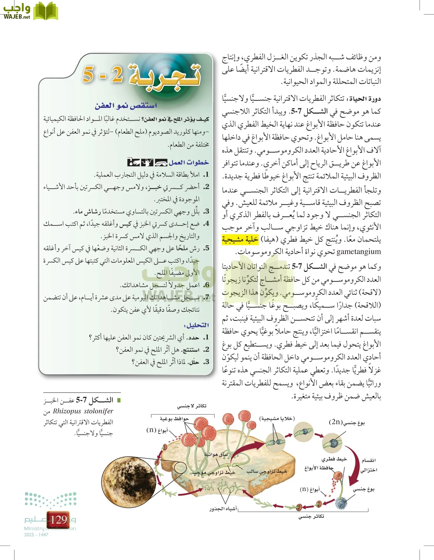 أحياء 1 مقررات page-128