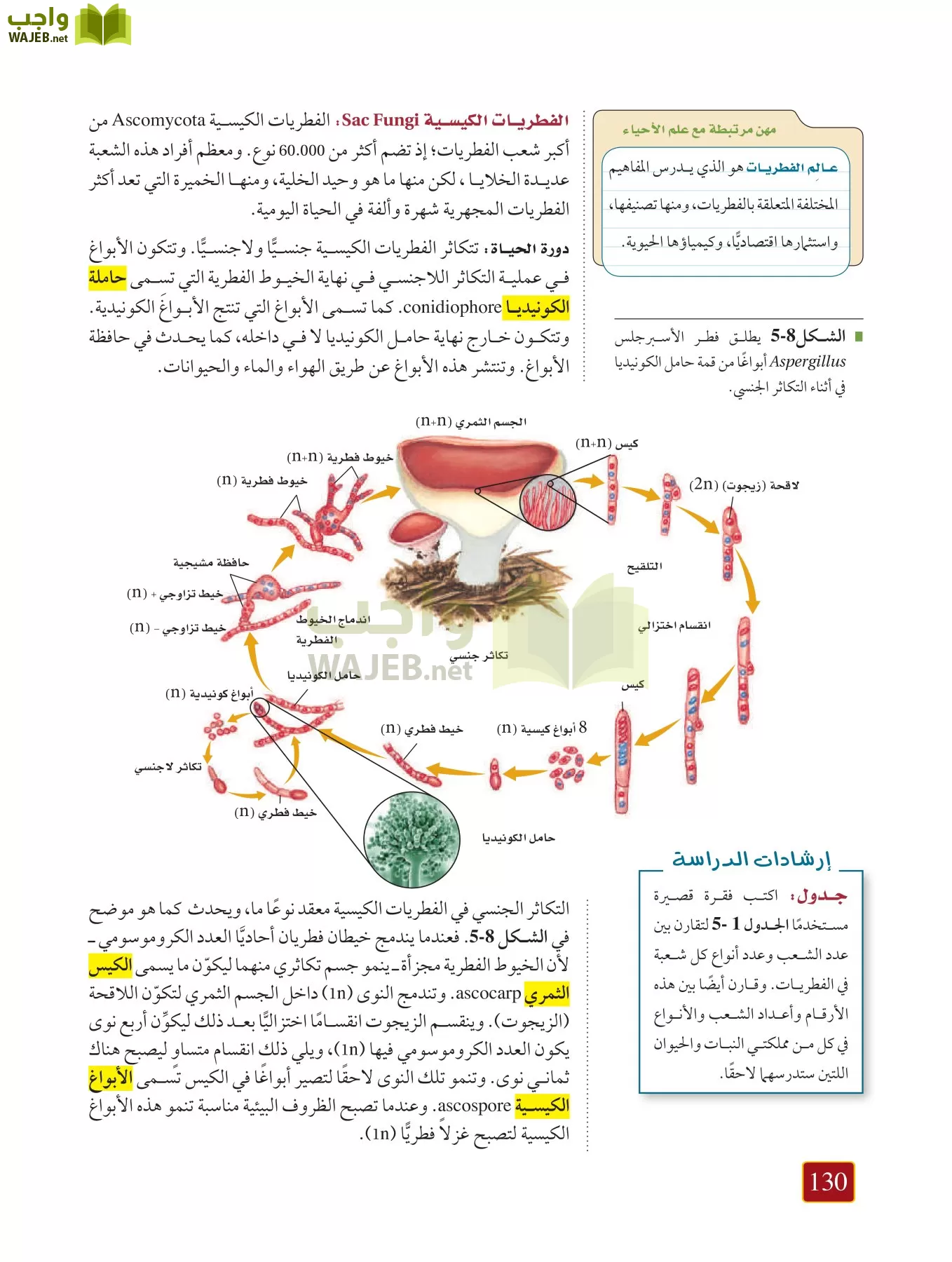 أحياء 1 مقررات page-129