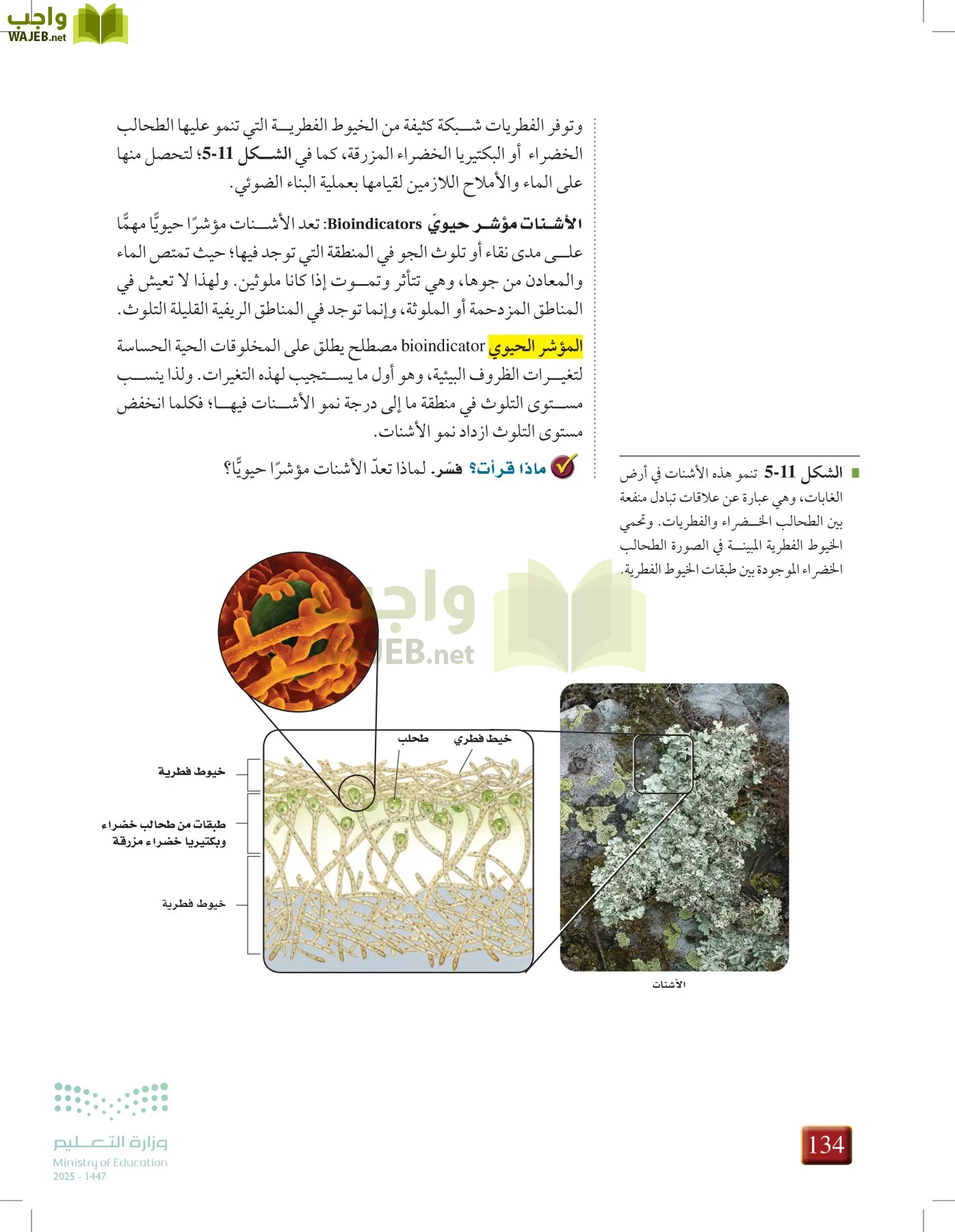 أحياء 1 مقررات page-133