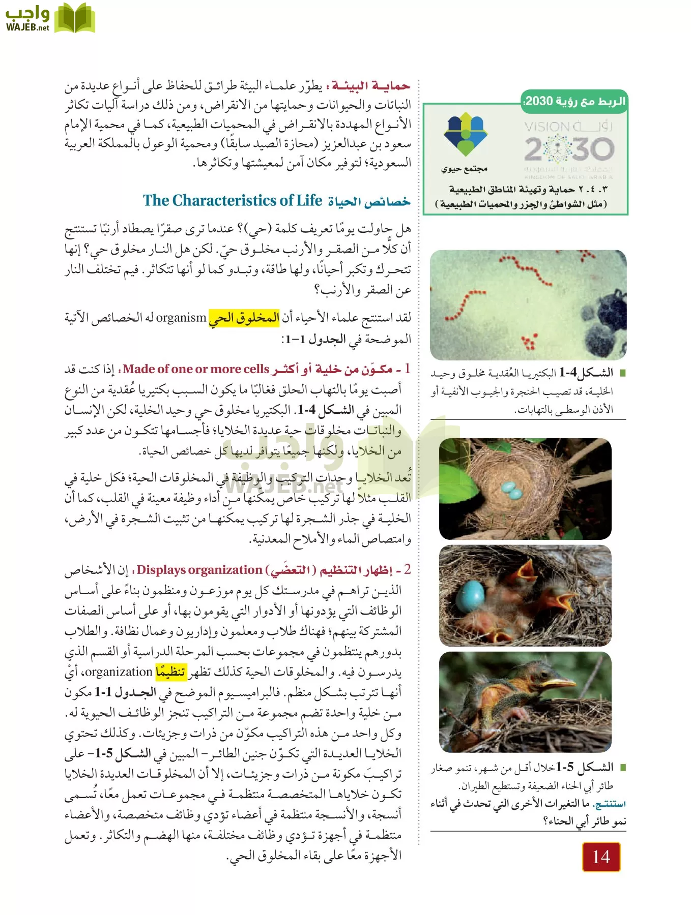 أحياء 1 مقررات page-13