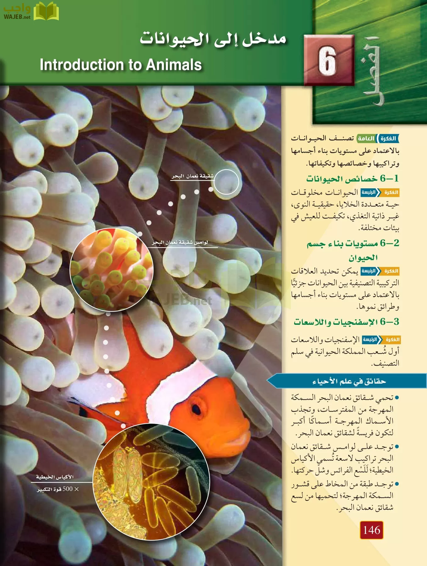 أحياء 1 مقررات page-145