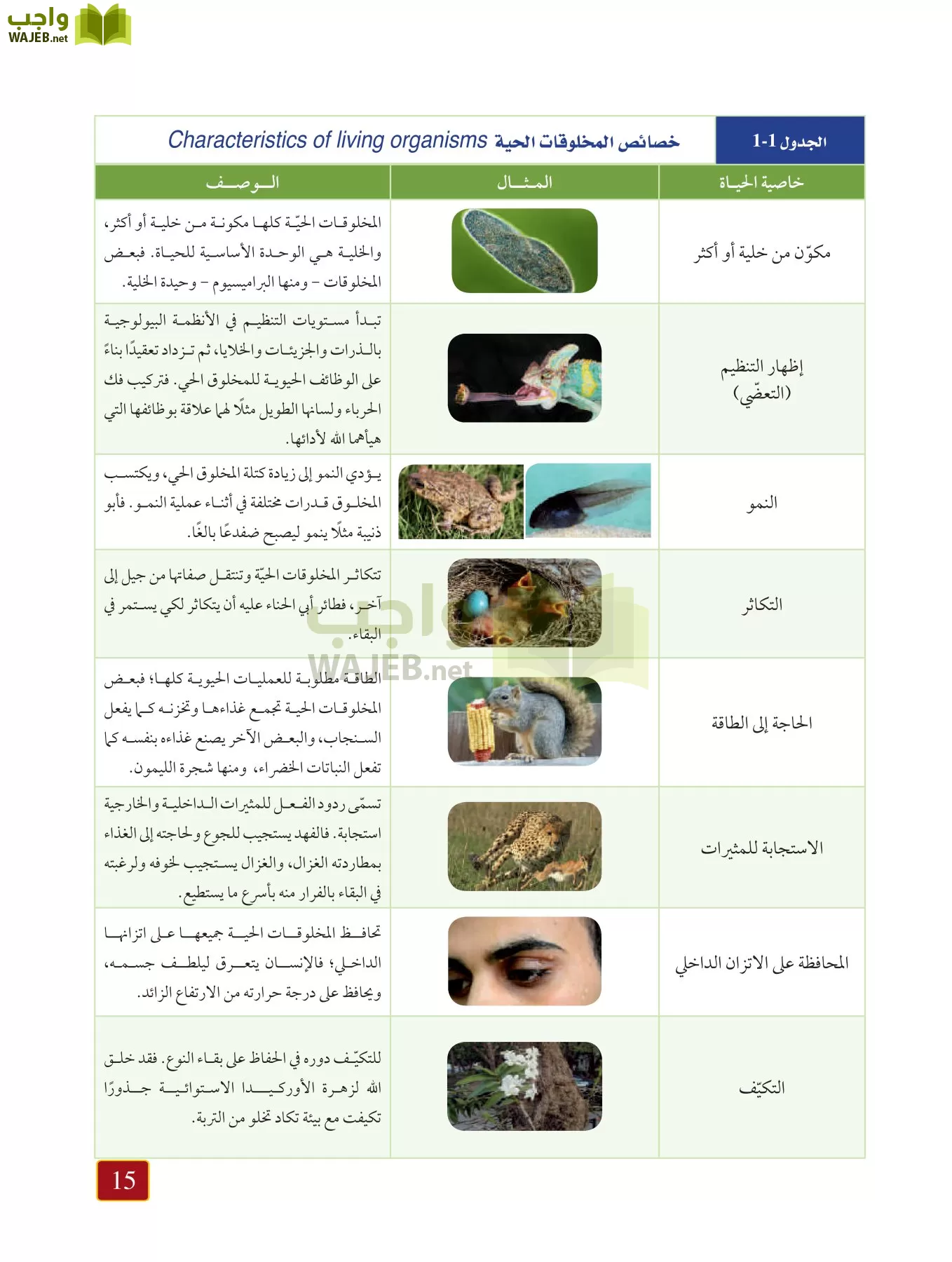 أحياء 1 مقررات page-14