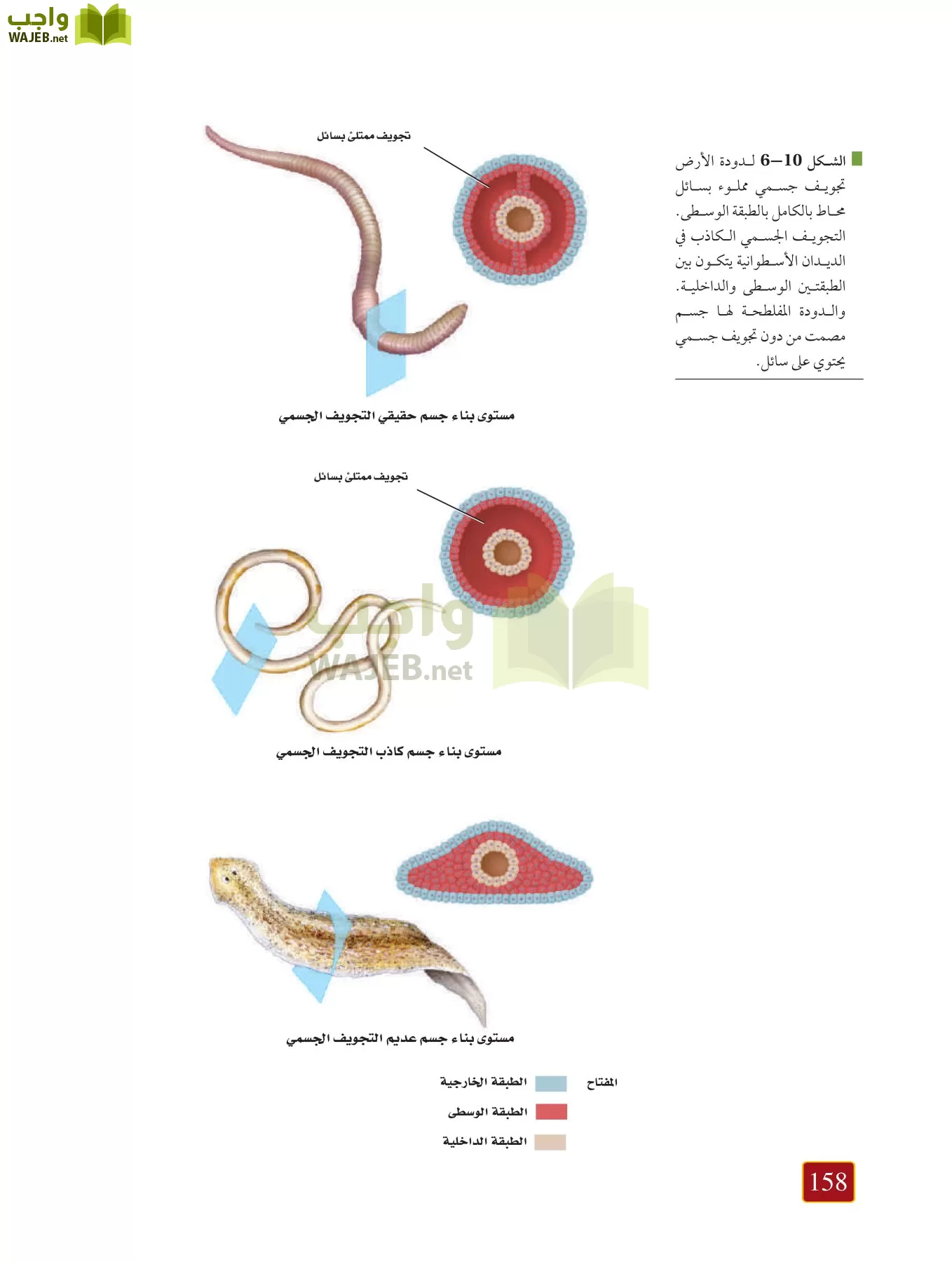 أحياء 1 مقررات page-157