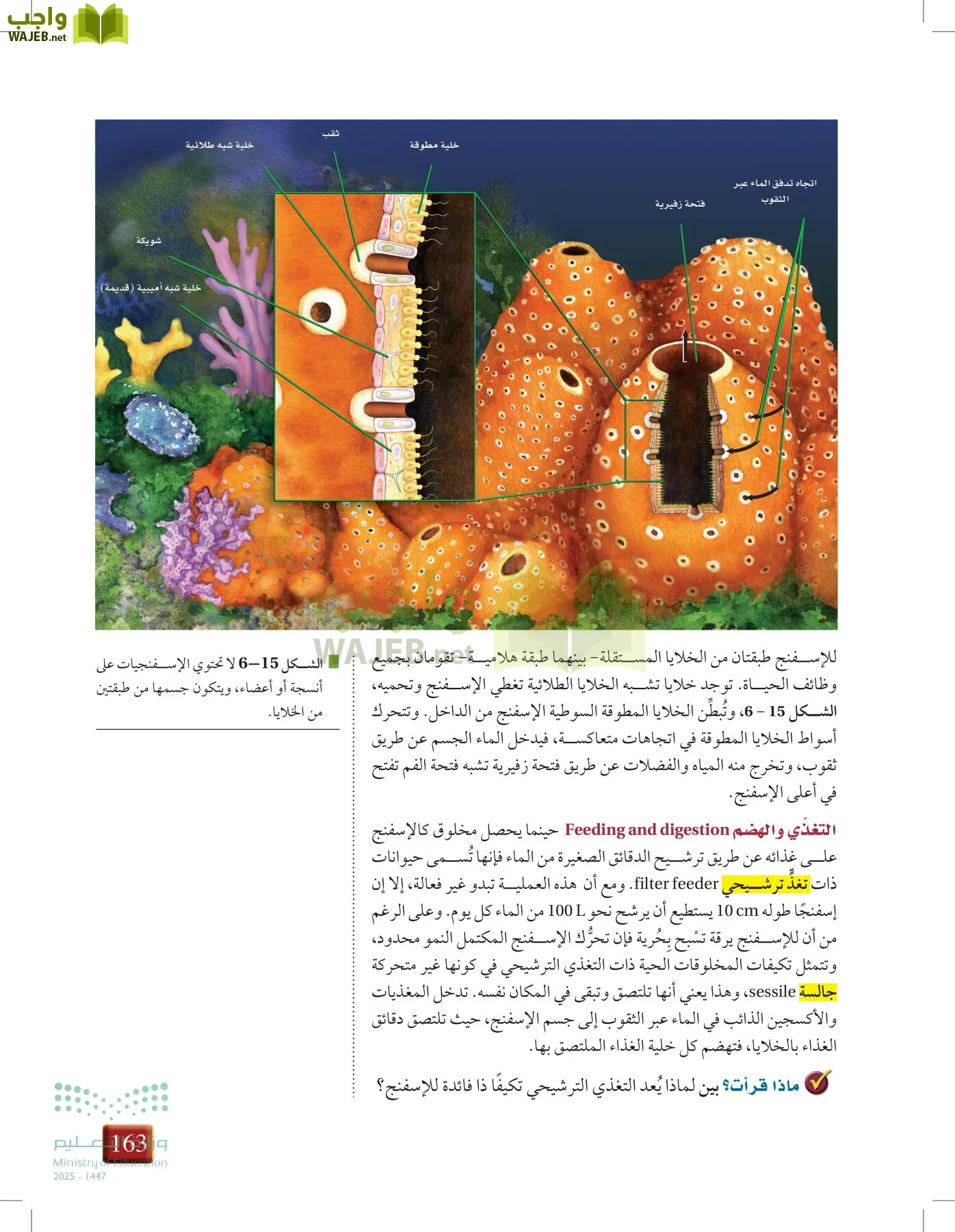 أحياء 1 مقررات page-162