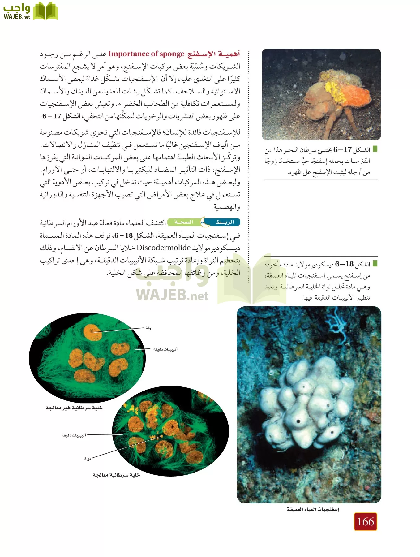 أحياء 1 مقررات page-165