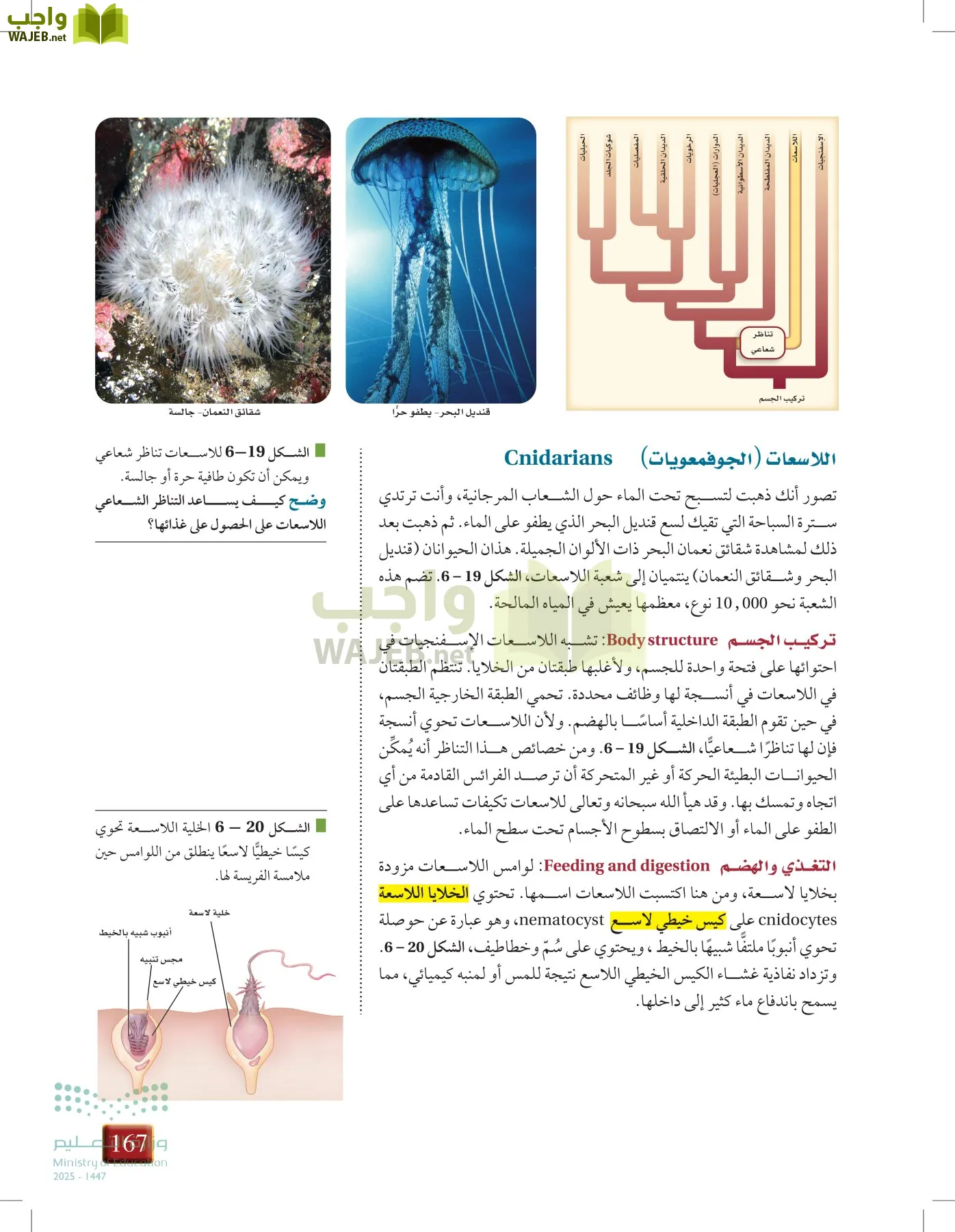 أحياء 1 مقررات page-166