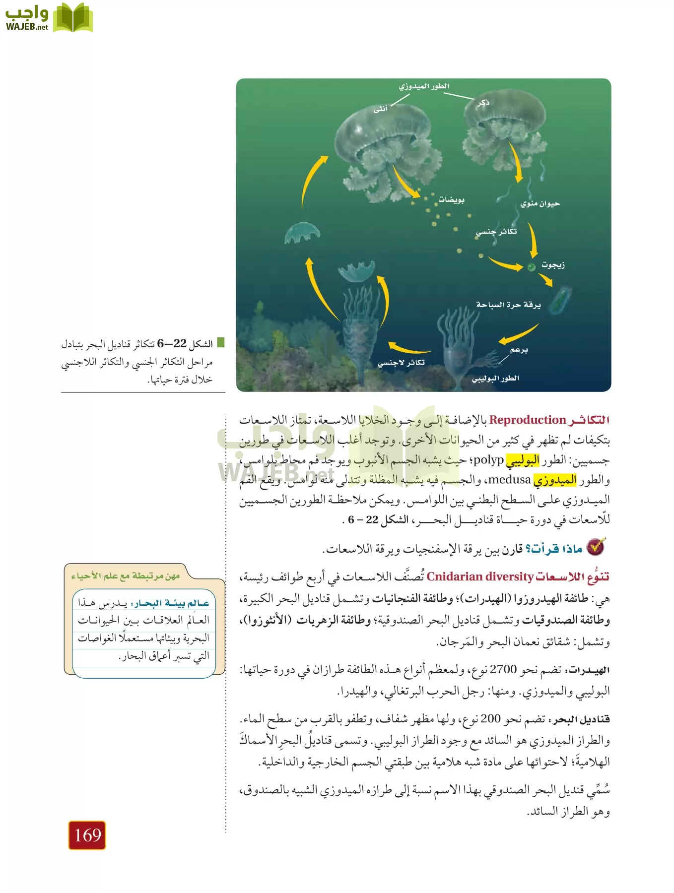 أحياء 1 مقررات page-168