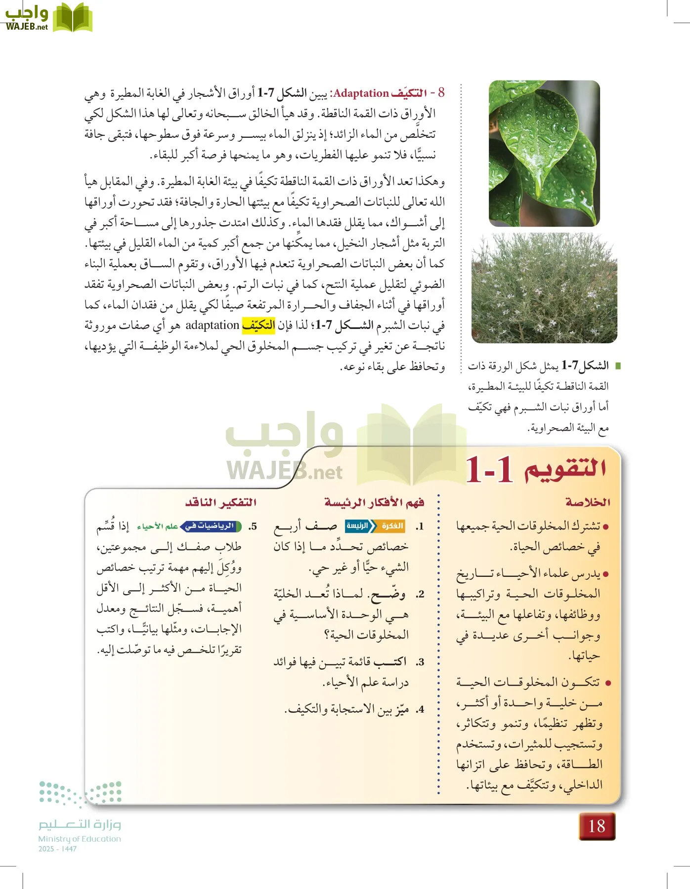 أحياء 1 مقررات page-17
