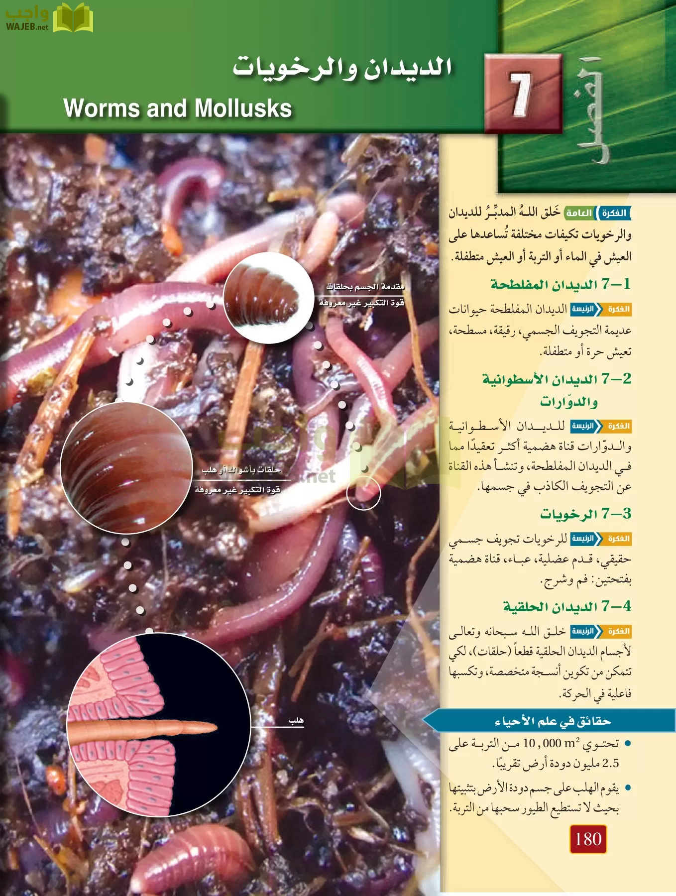 أحياء 1 مقررات page-179