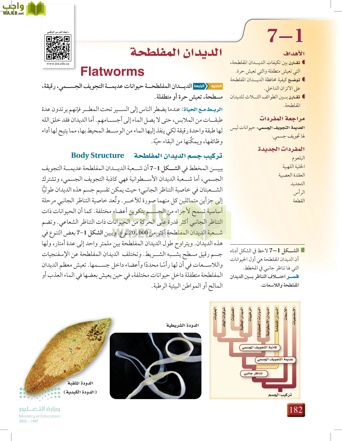 أحياء 1 مقررات page-181