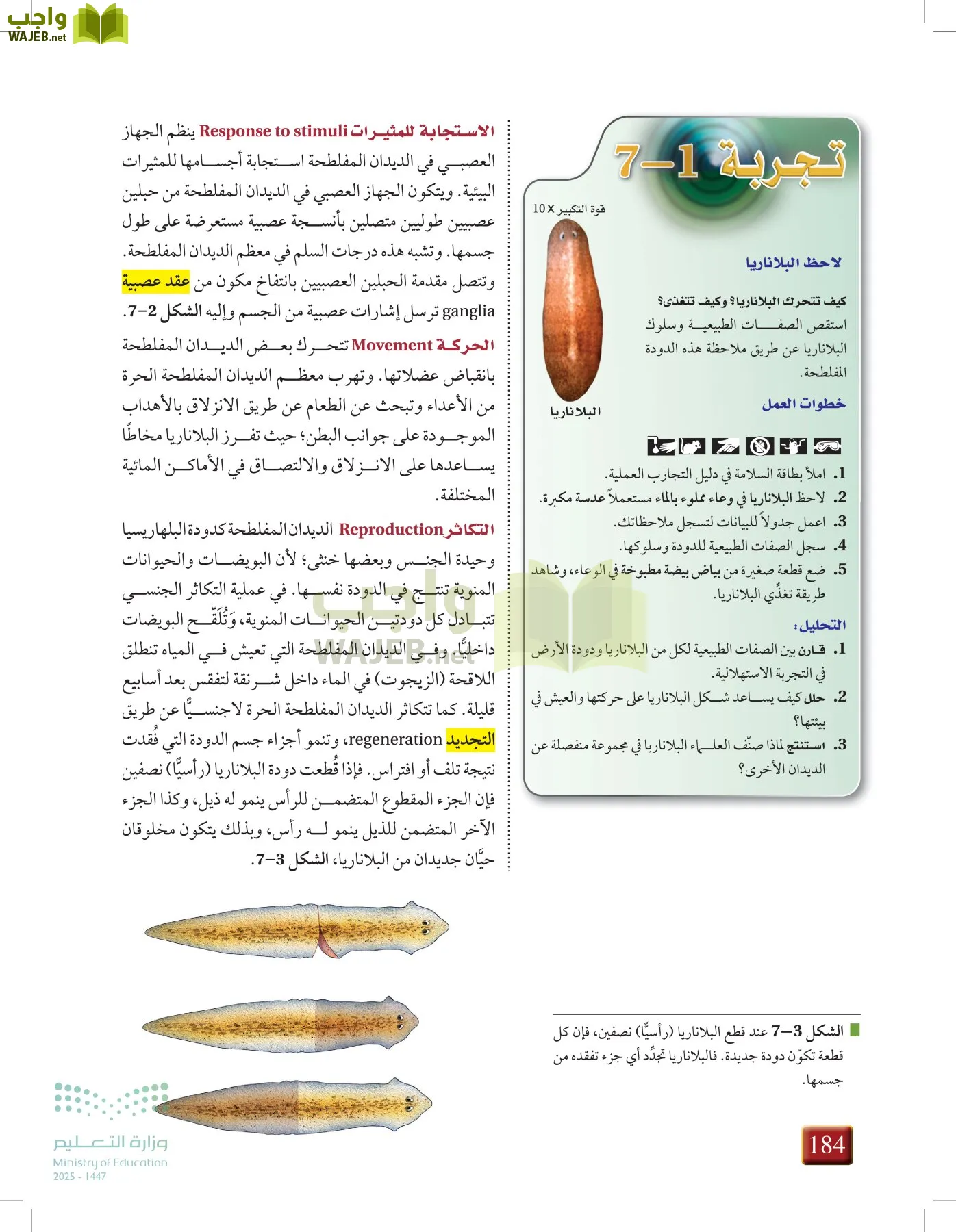أحياء 1 مقررات page-183