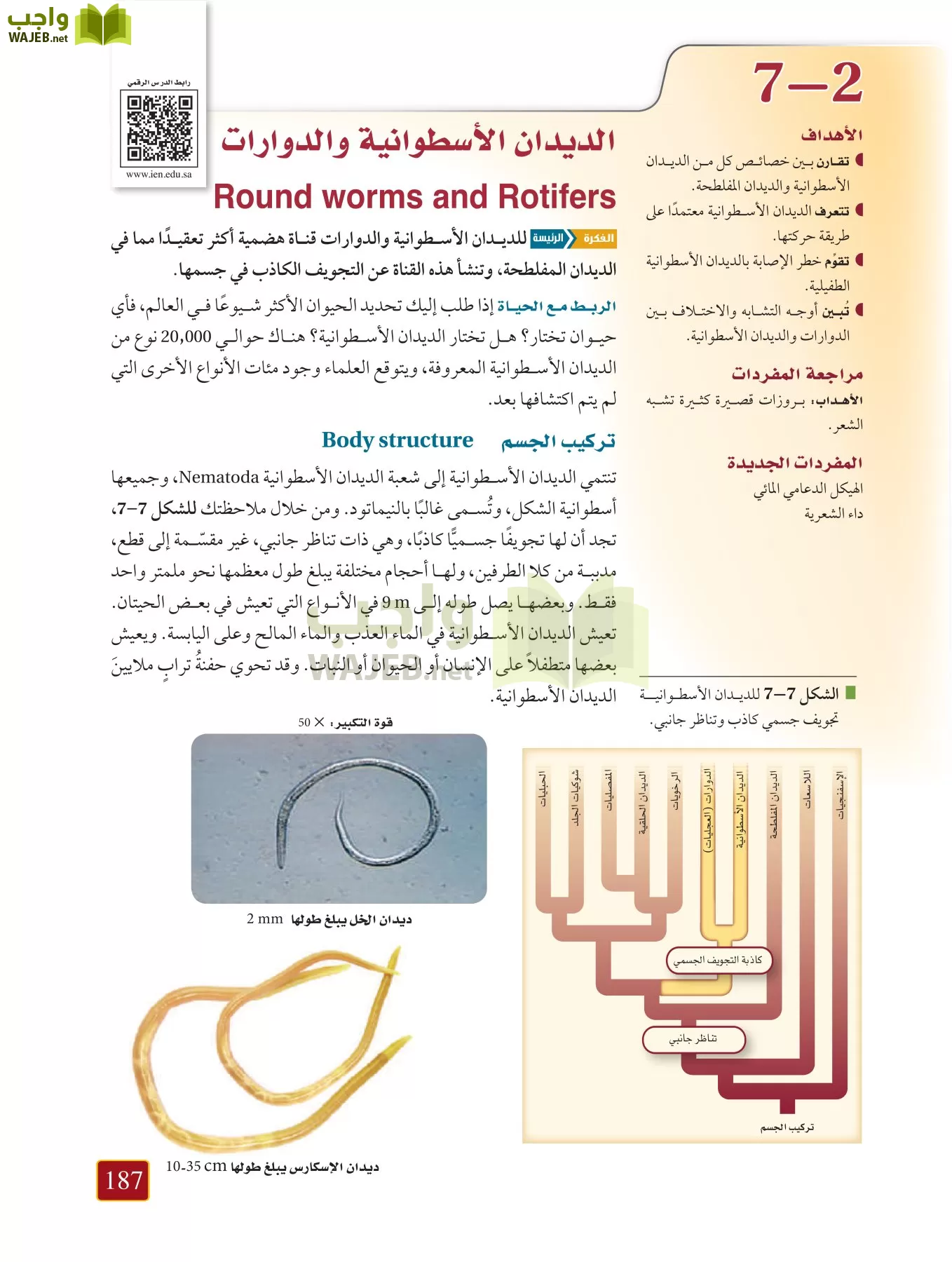 أحياء 1 مقررات page-186