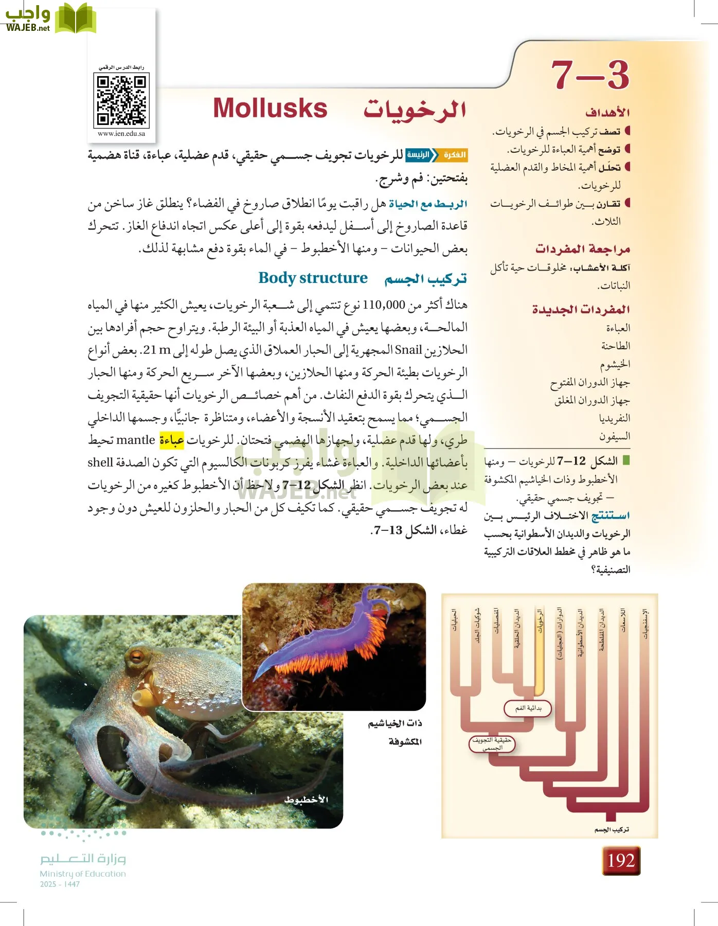 أحياء 1 مقررات page-191