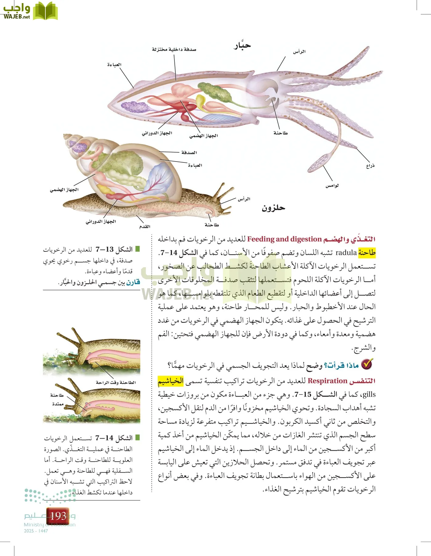 أحياء 1 مقررات page-192