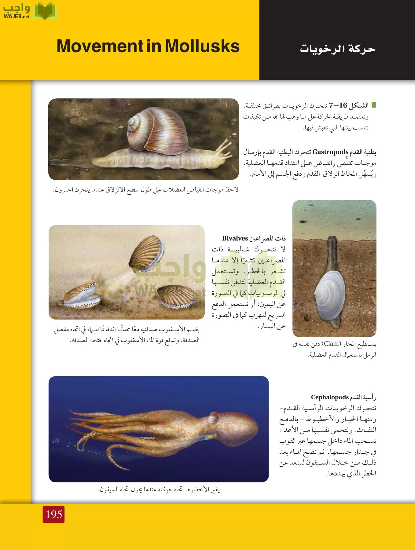 أحياء 1 مقررات page-194