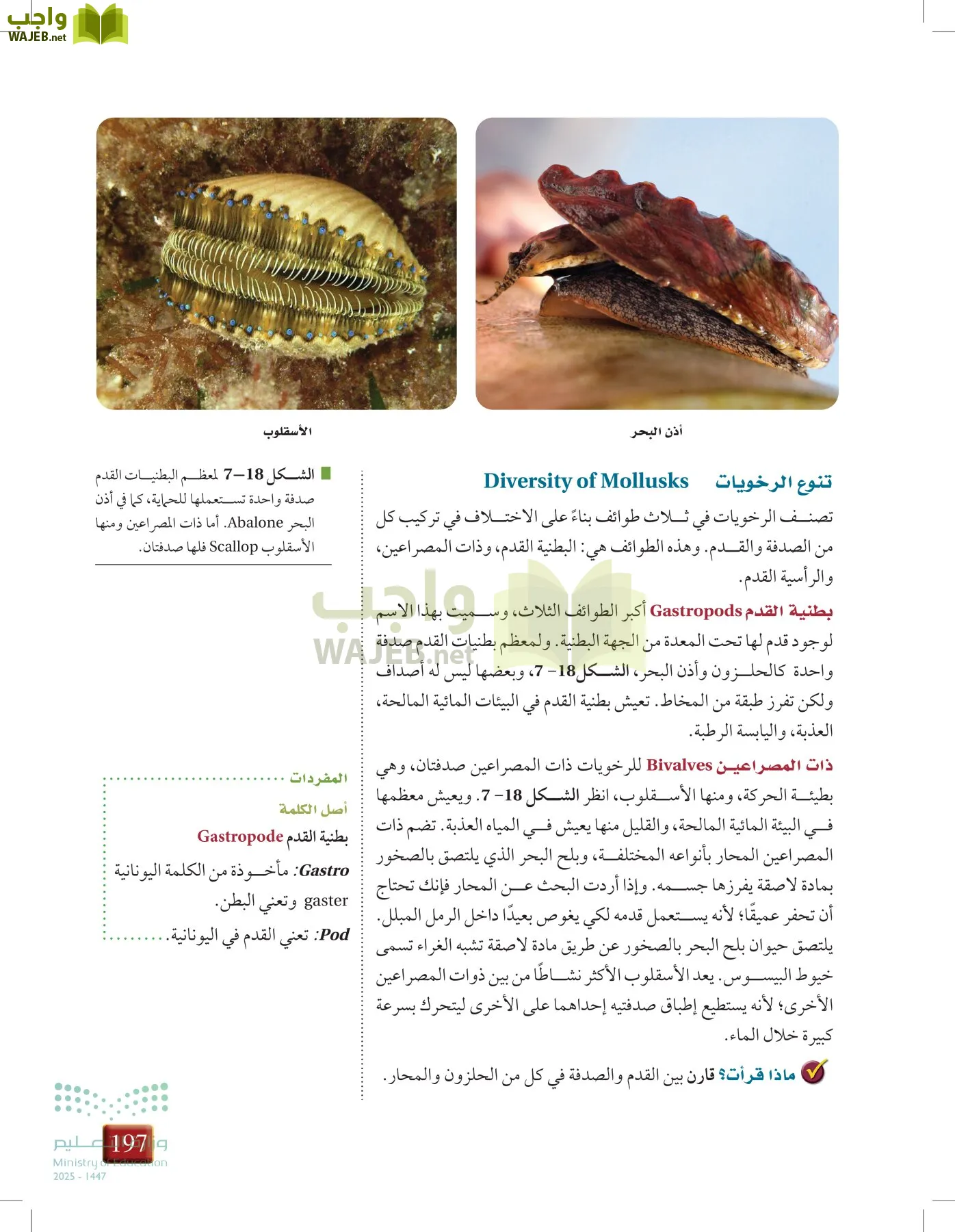 أحياء 1 مقررات page-196